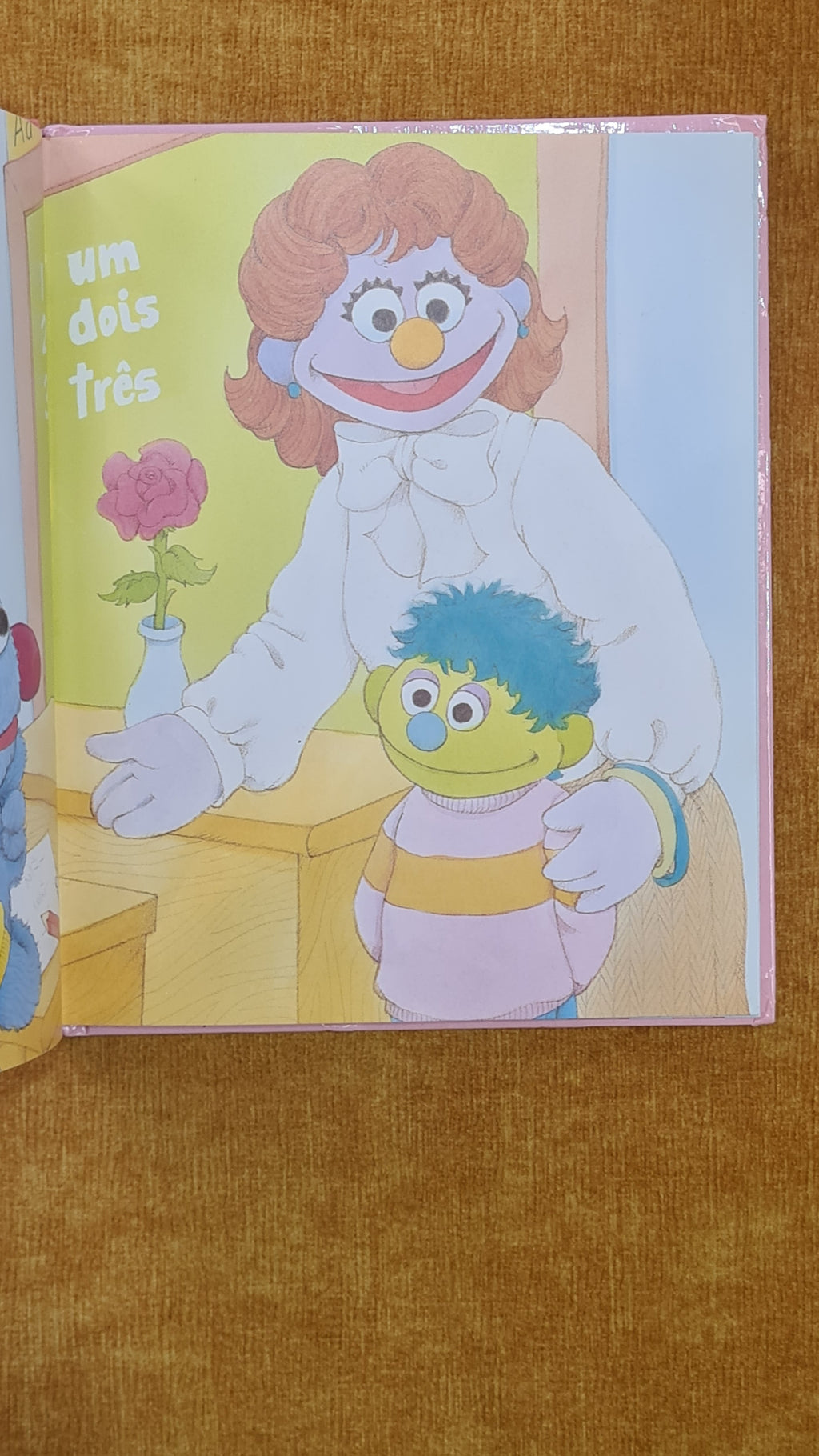 A New Friend on the Block - Sesame Street 20