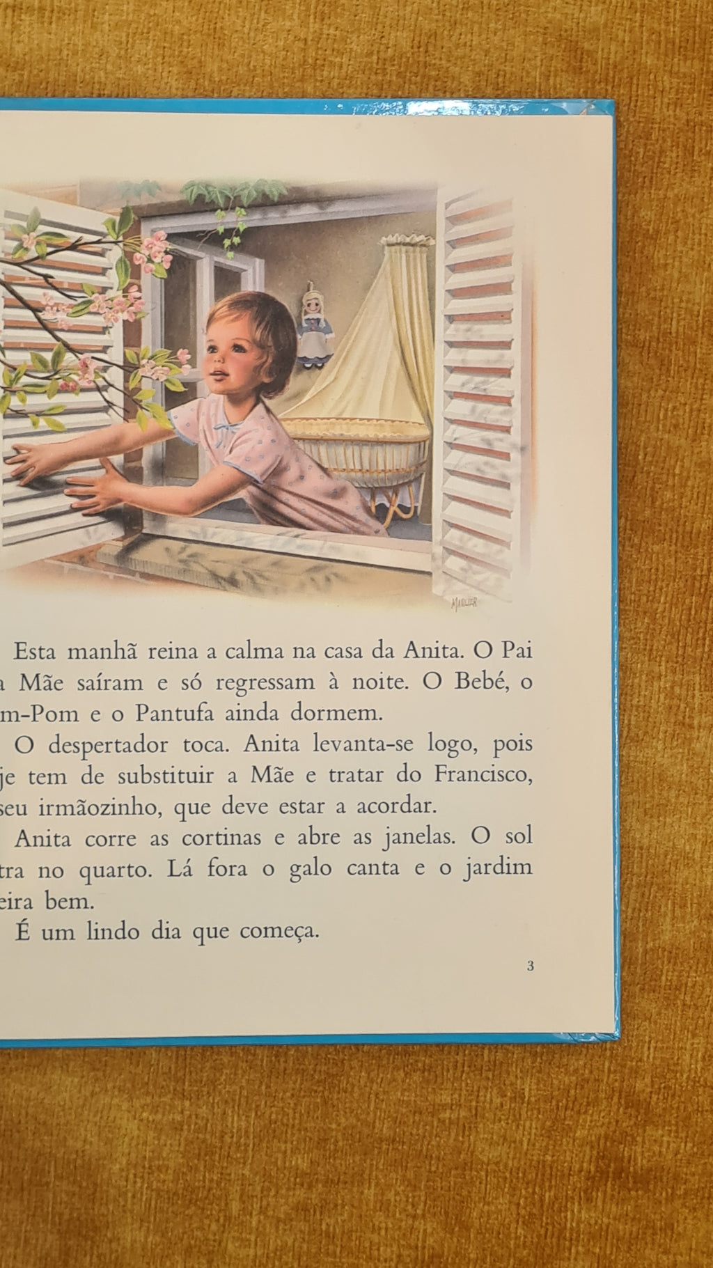 Anita Mom