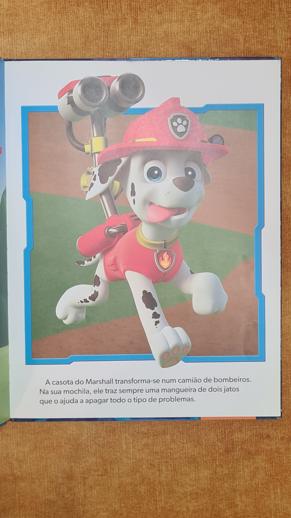 The Big Book of Paw Patrol