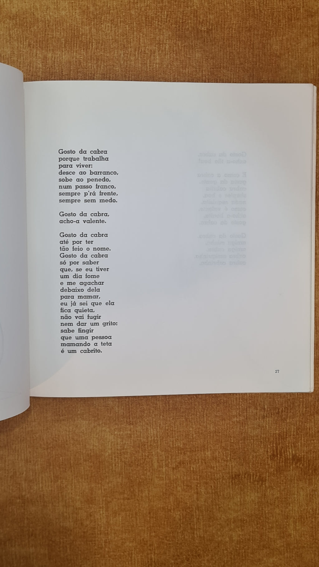 Pets to Bring Home - Poems for children