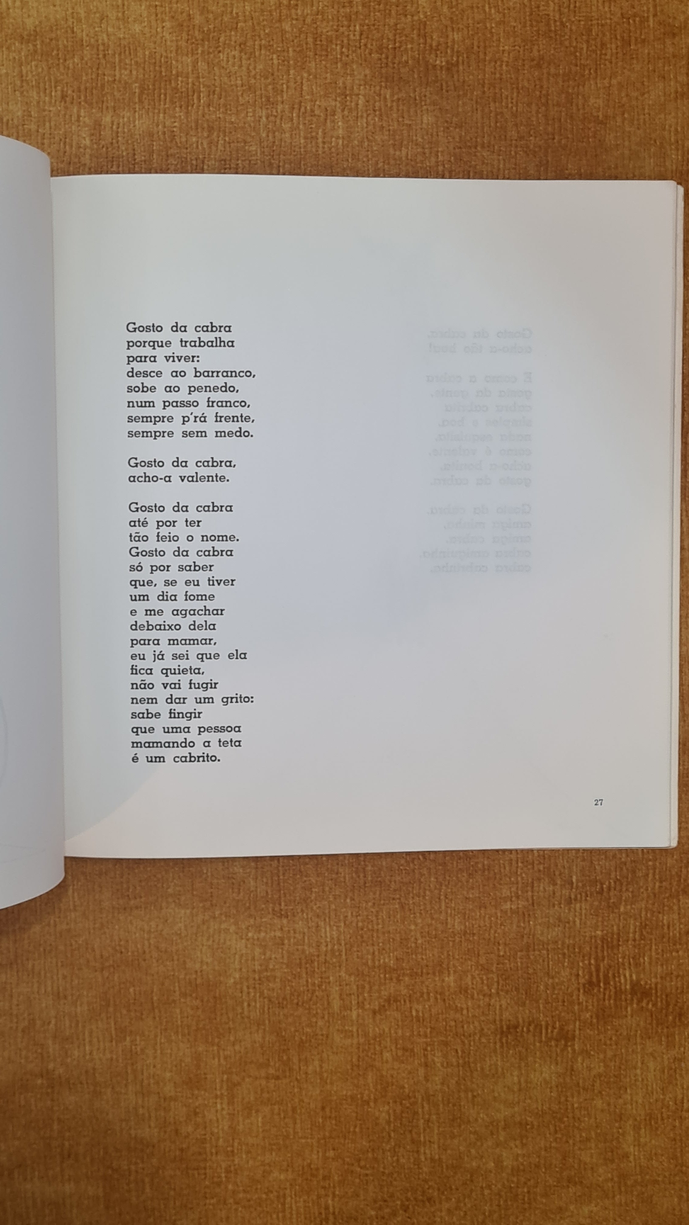 Pets to Bring Home - Poems for children
