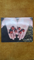 Coccinellidae