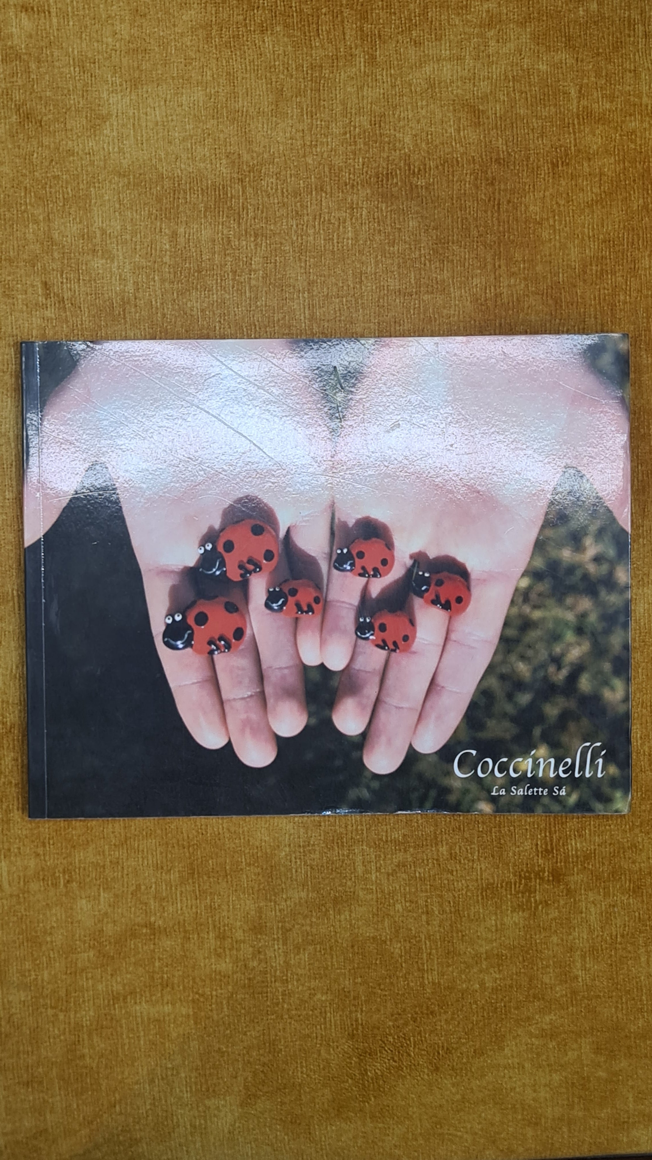 Coccinellidae