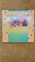 Boy, name André