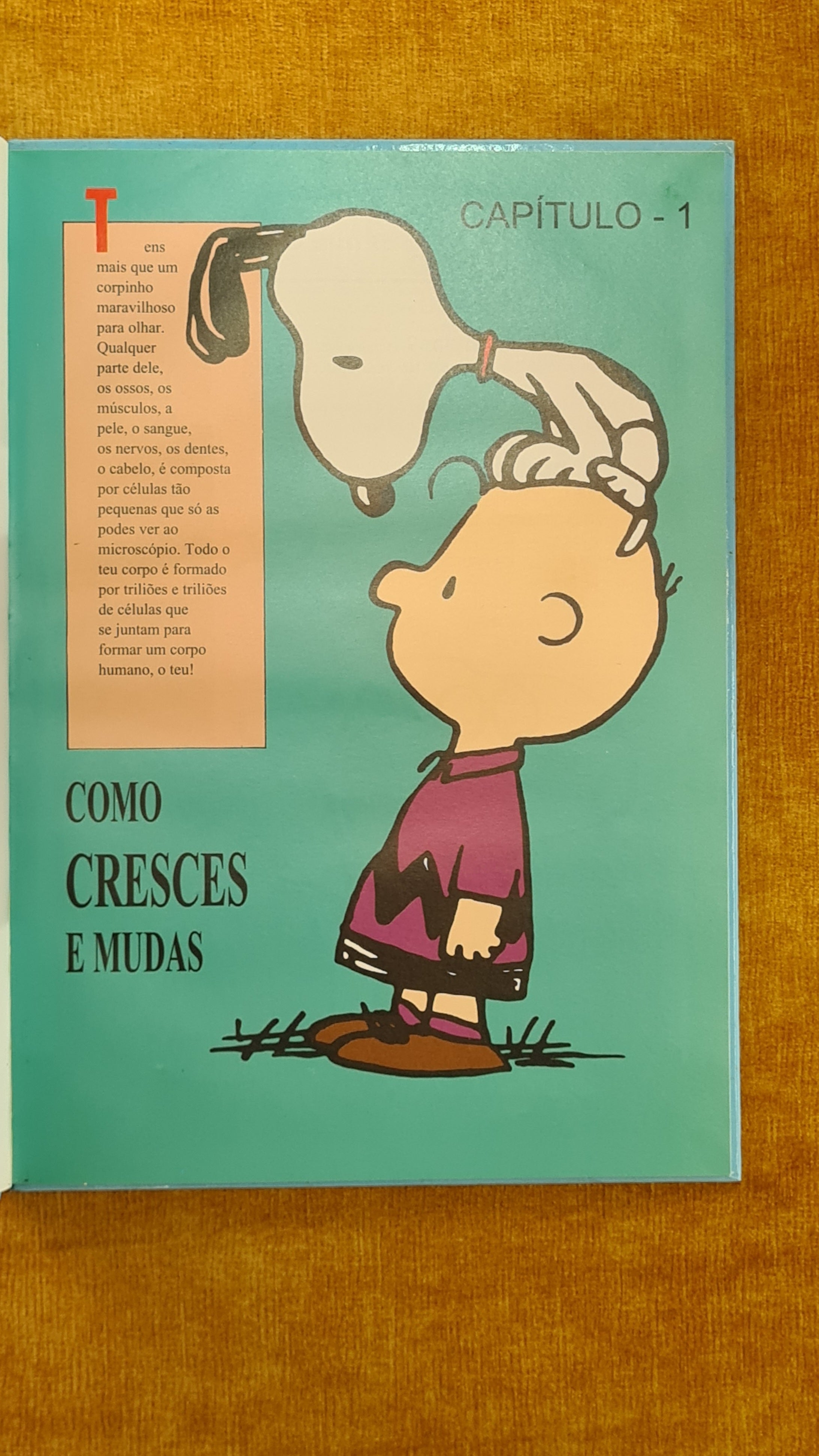 Charlie Brown's Encyclopedia 1 - Your Wonderful Body