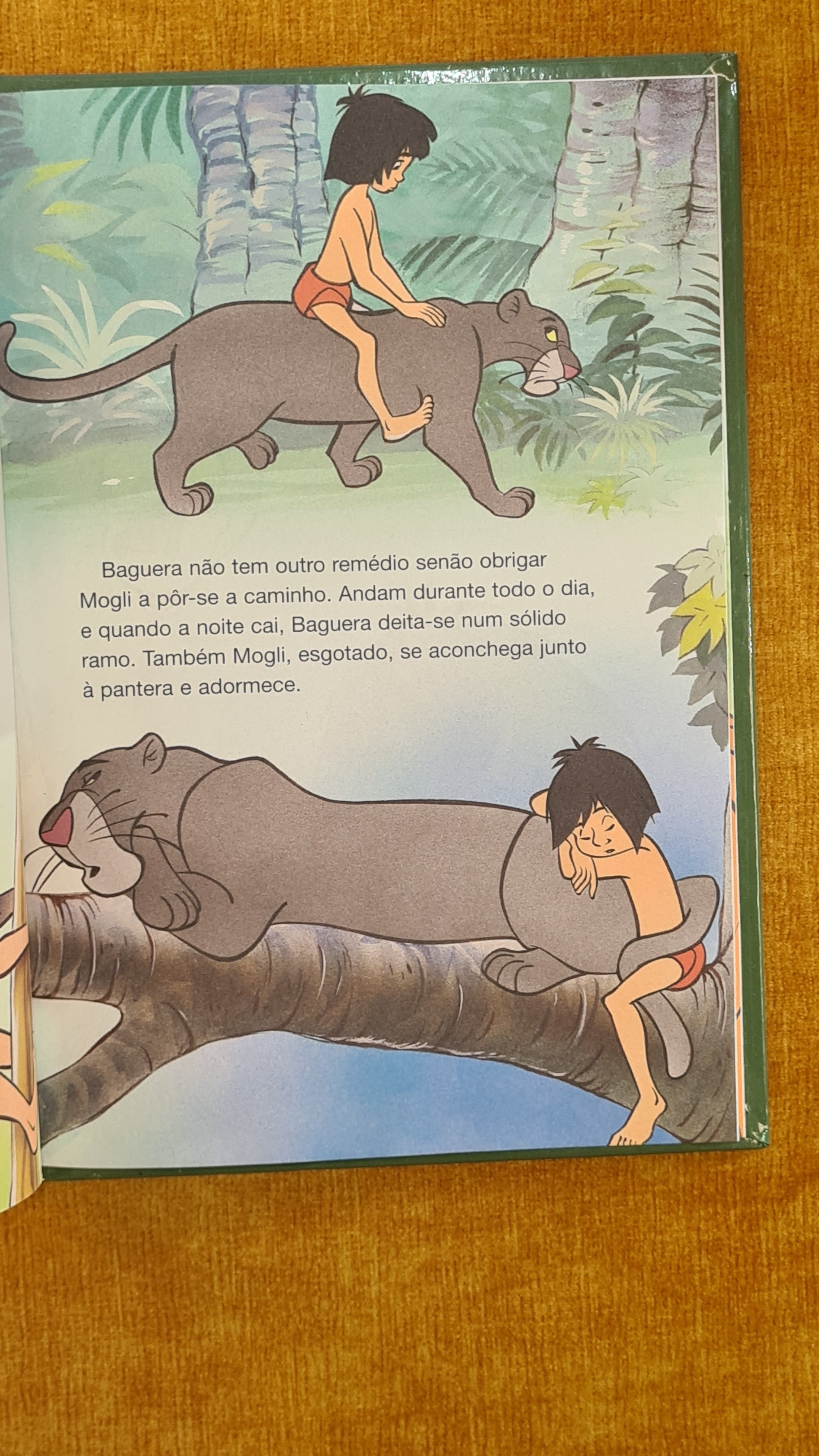The Jungle Book - Book club