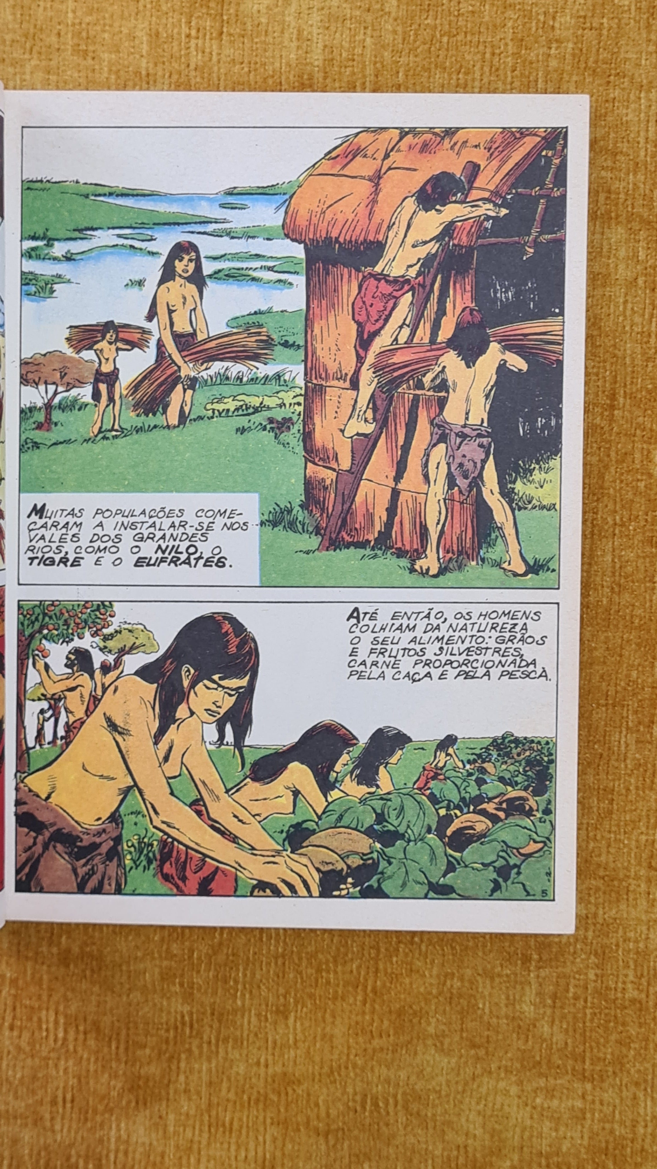 Illustrated History of Humanity Step by Step - Prehistory II
