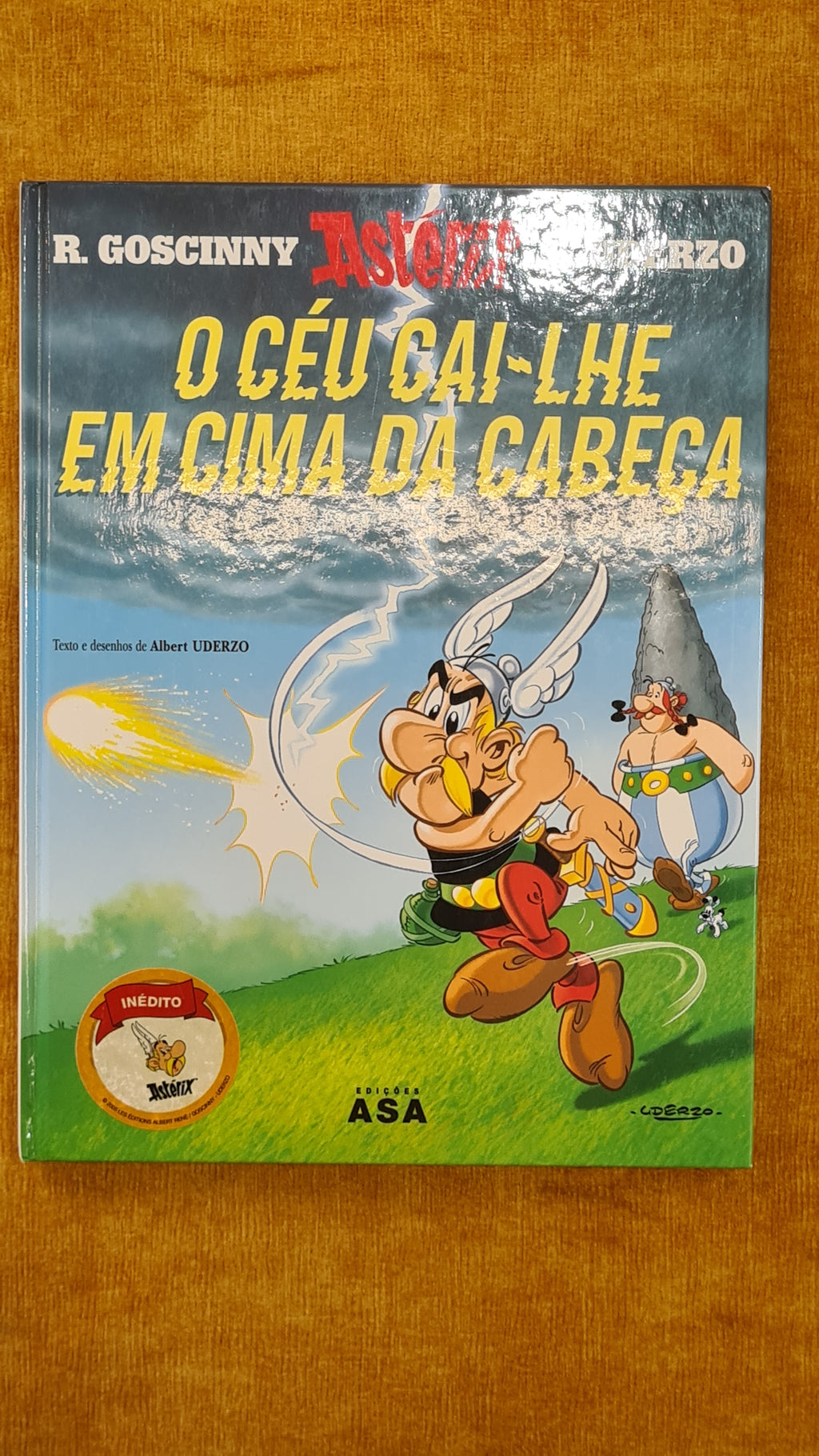 Asterix: The Sky Is Falling on His Head