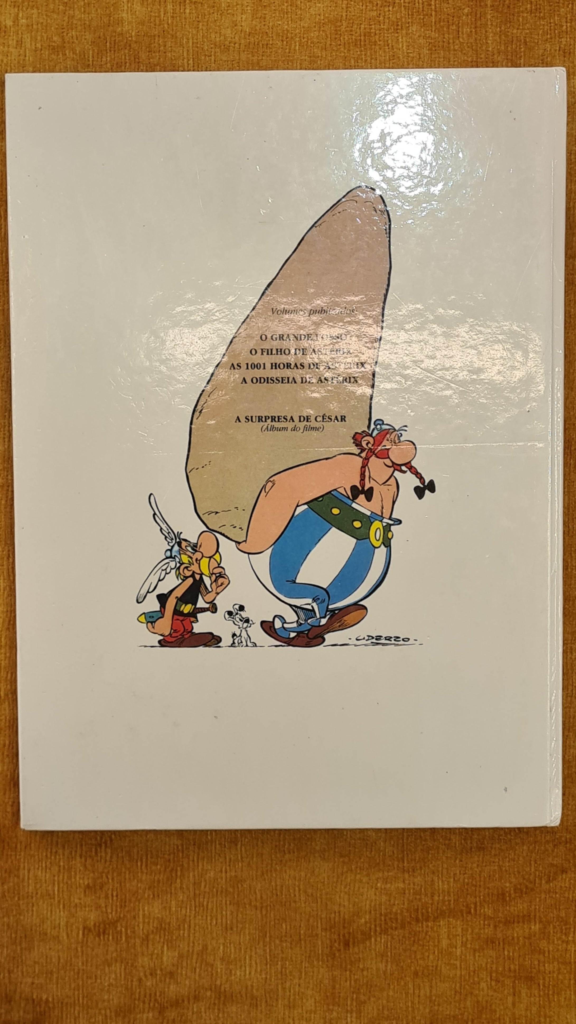 Asterix's Odyssey