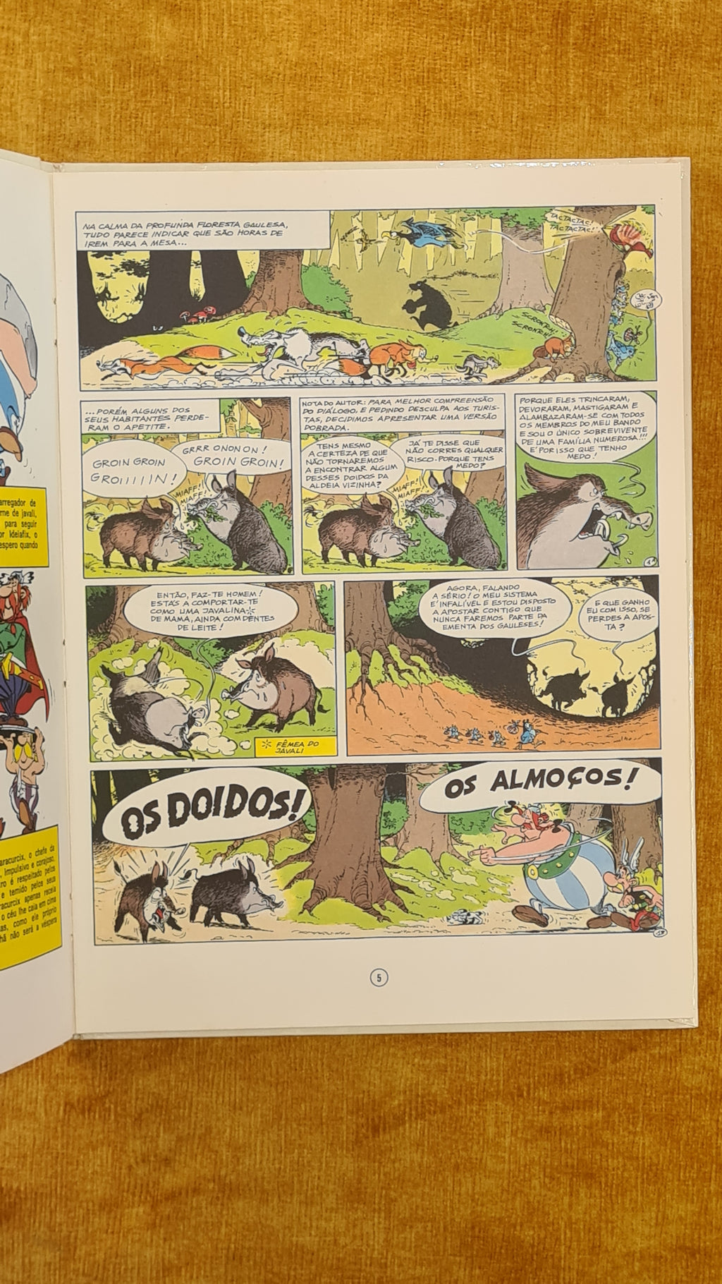 Asterix's Odyssey