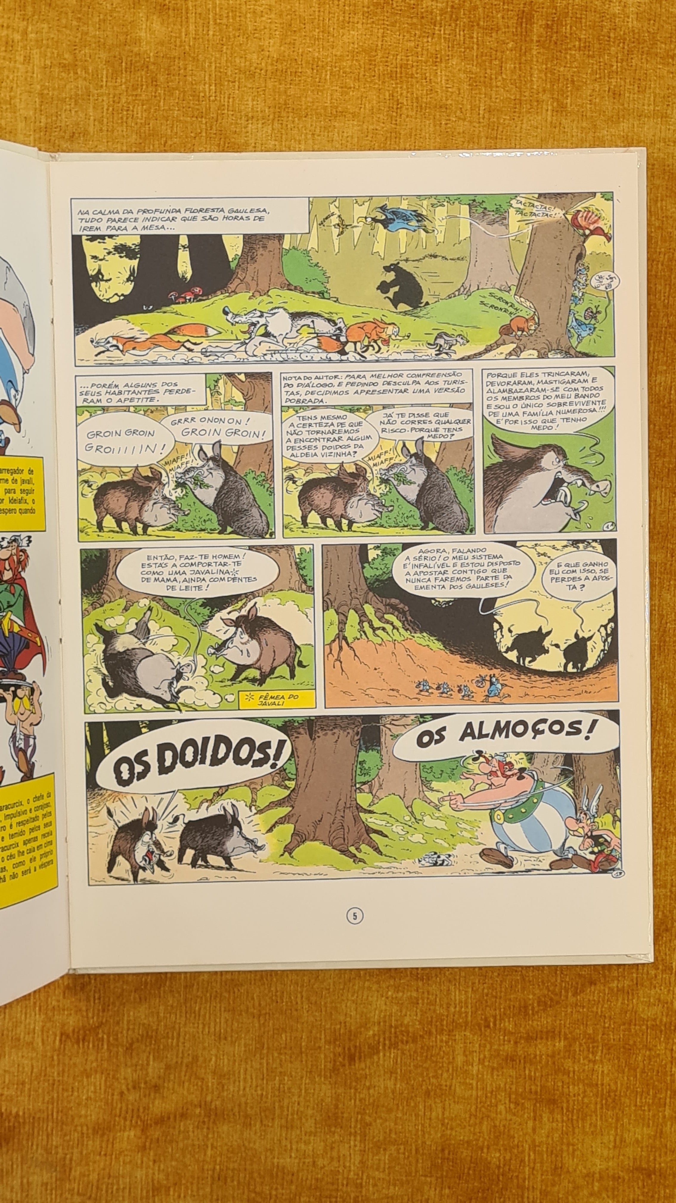 Asterix's Odyssey