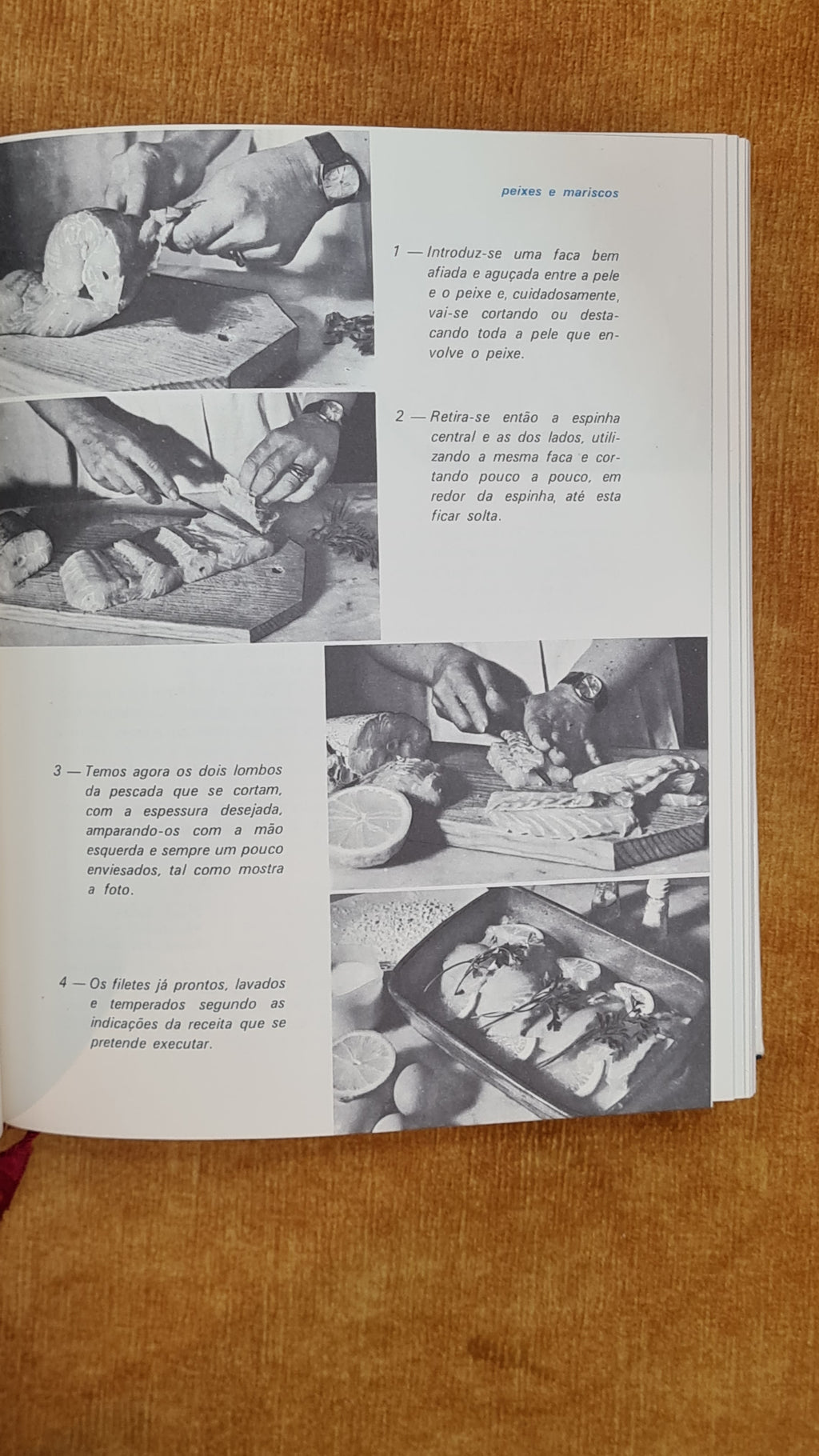 Tesouro das cozinheiras