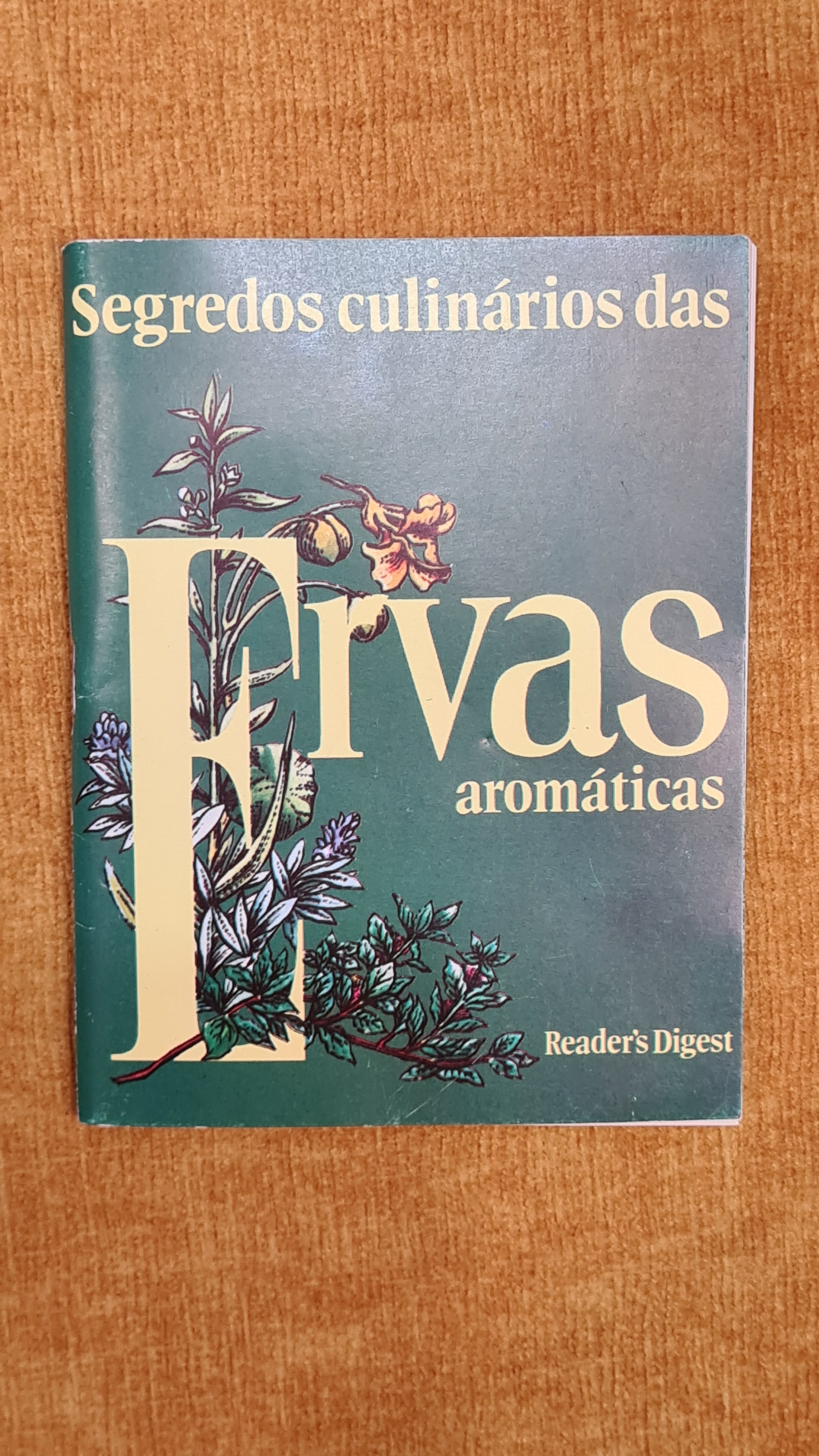 Segredos culinários das Ervas aromáticas