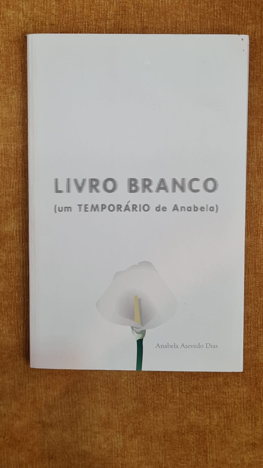 White Paper (a temporary from Anabela)