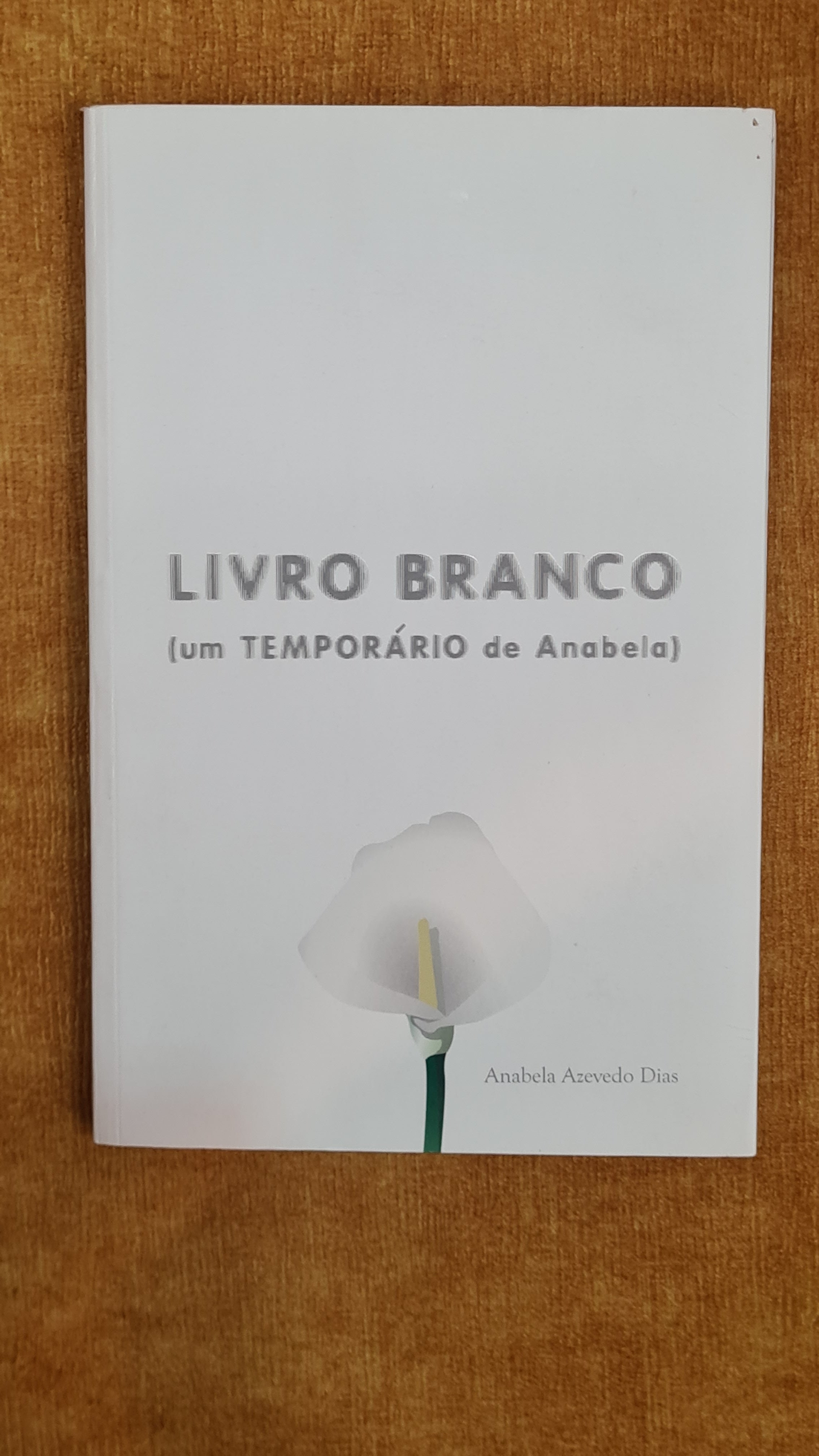 White Paper (a temporary from Anabela)