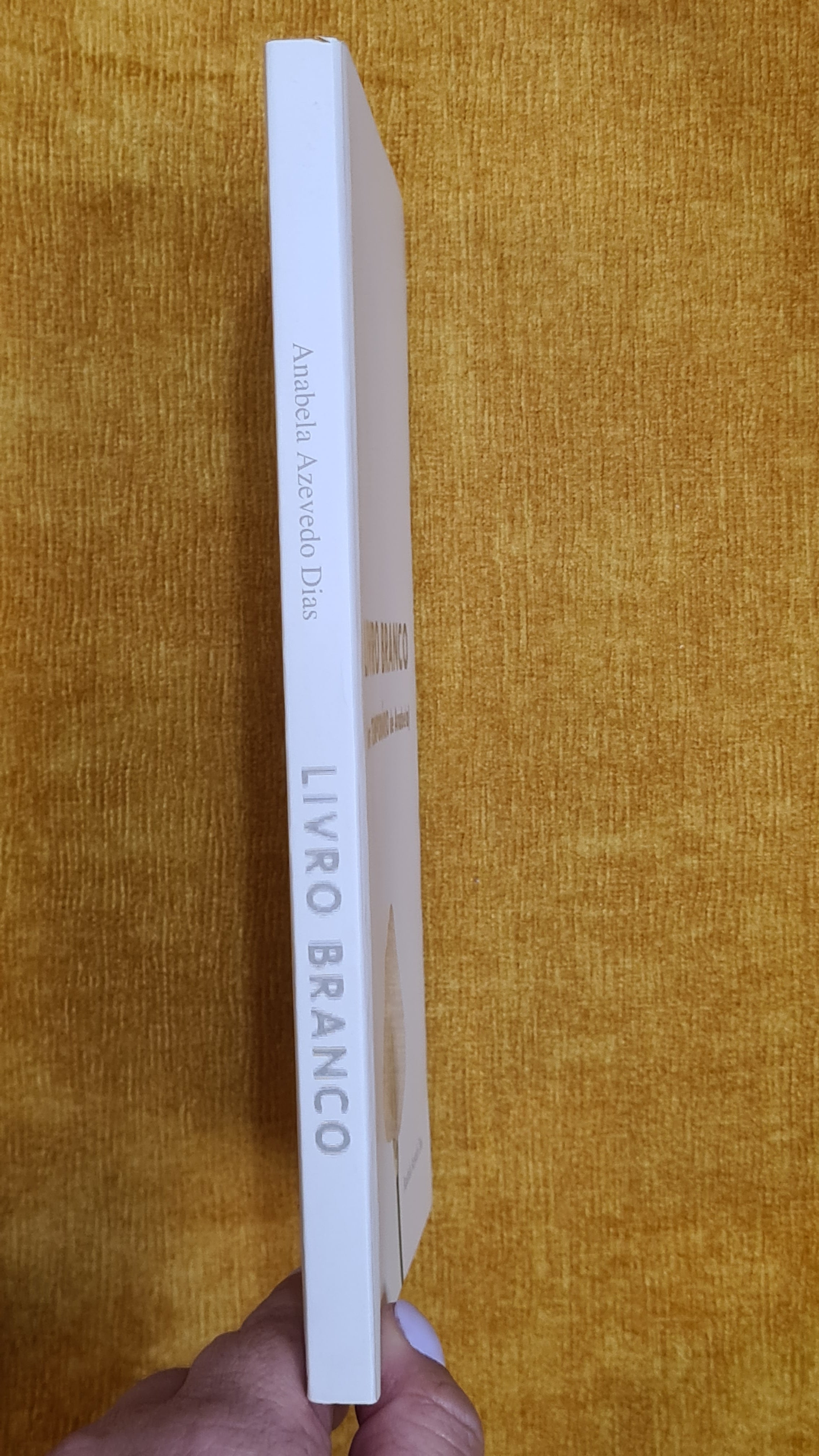 White Paper (a temporary from Anabela)