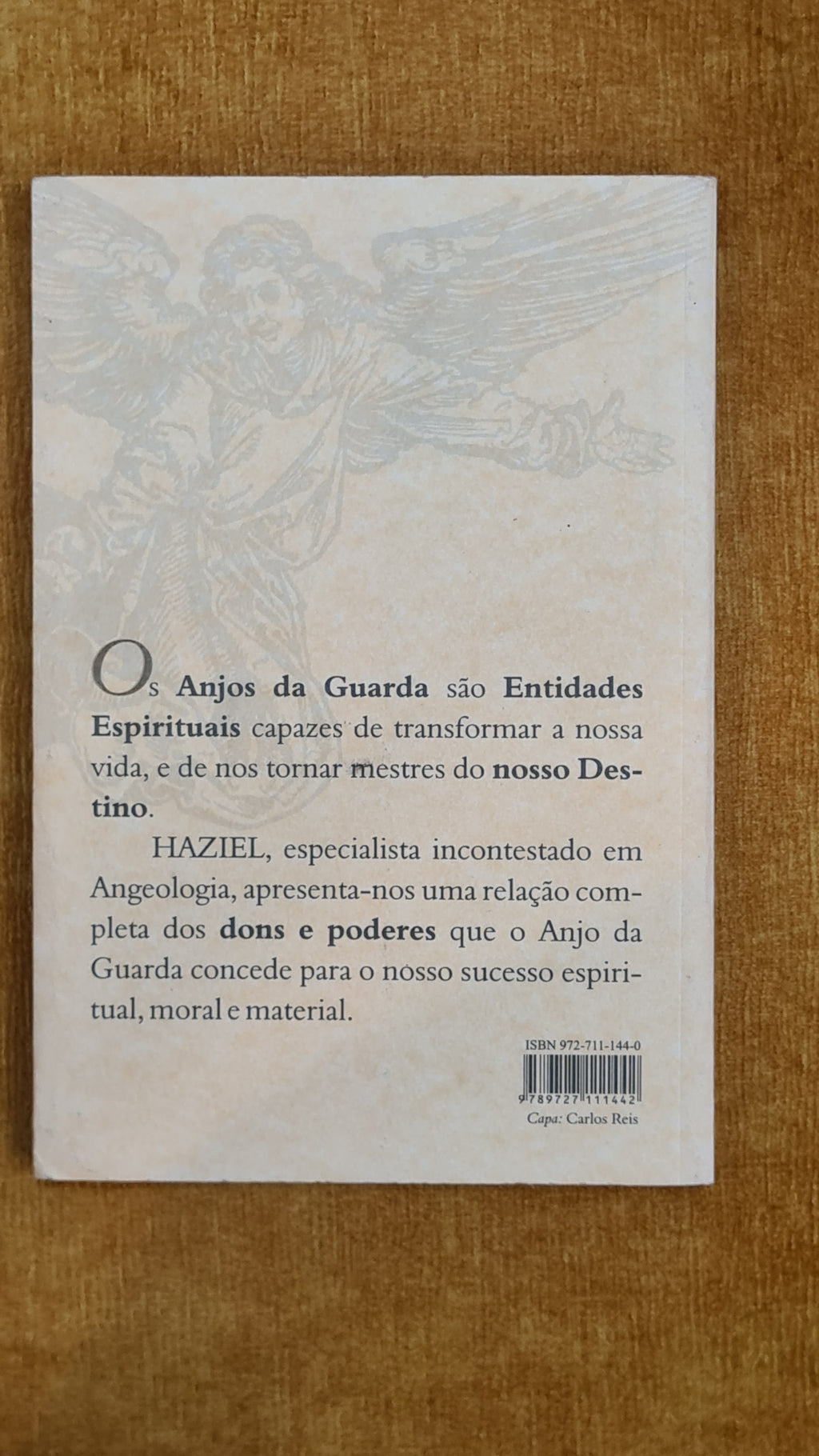 Os poderes do Anjo da guarda