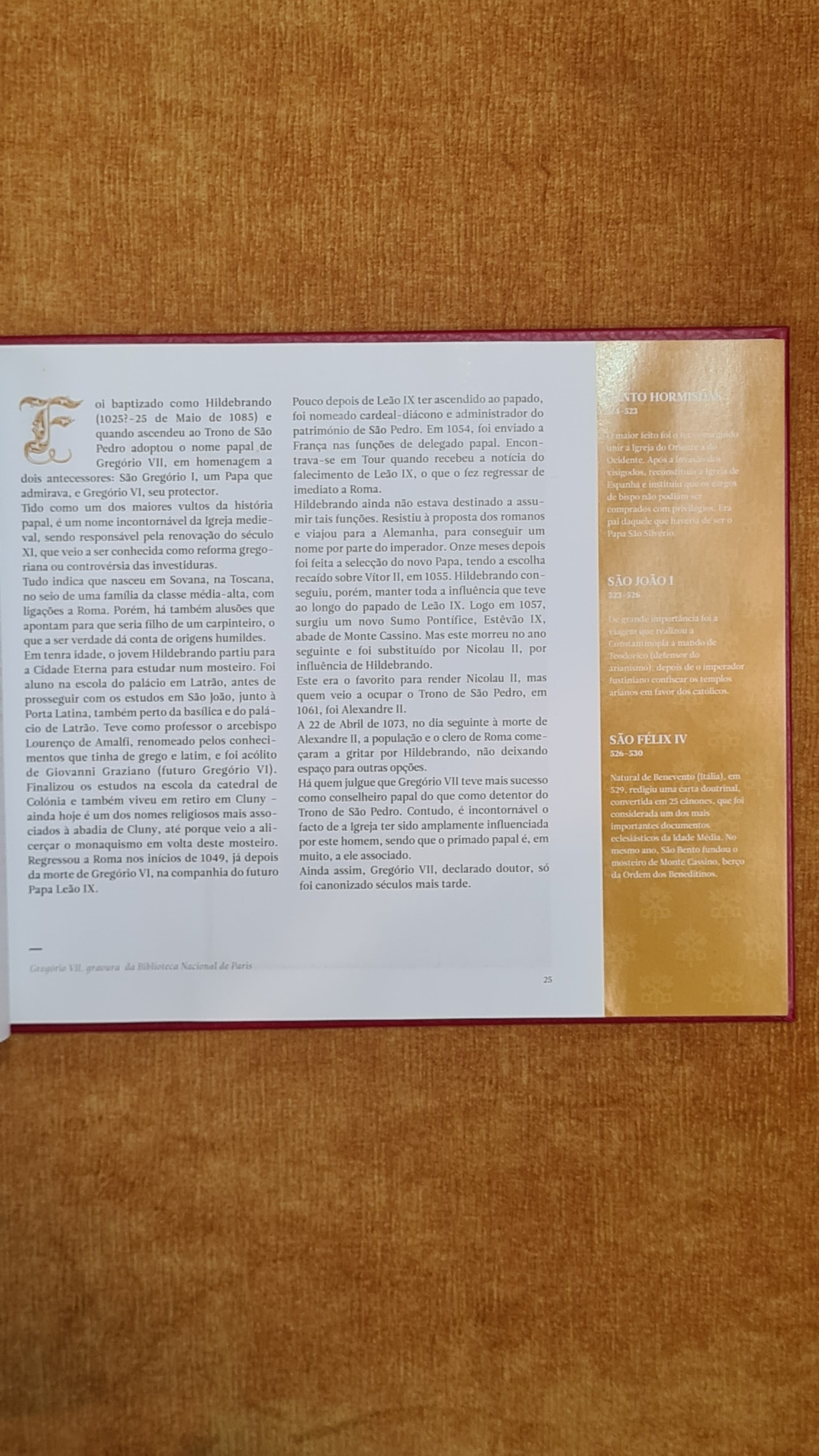 The Great Book of Popes