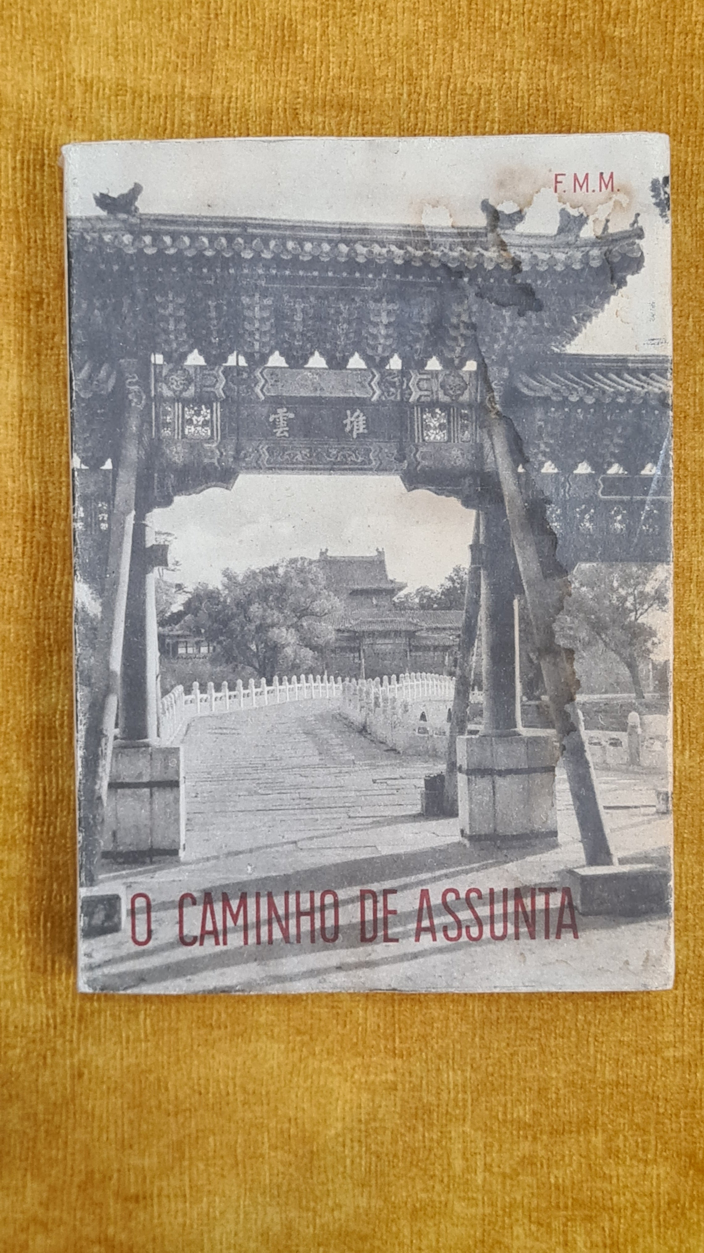 O caminho de Assunta