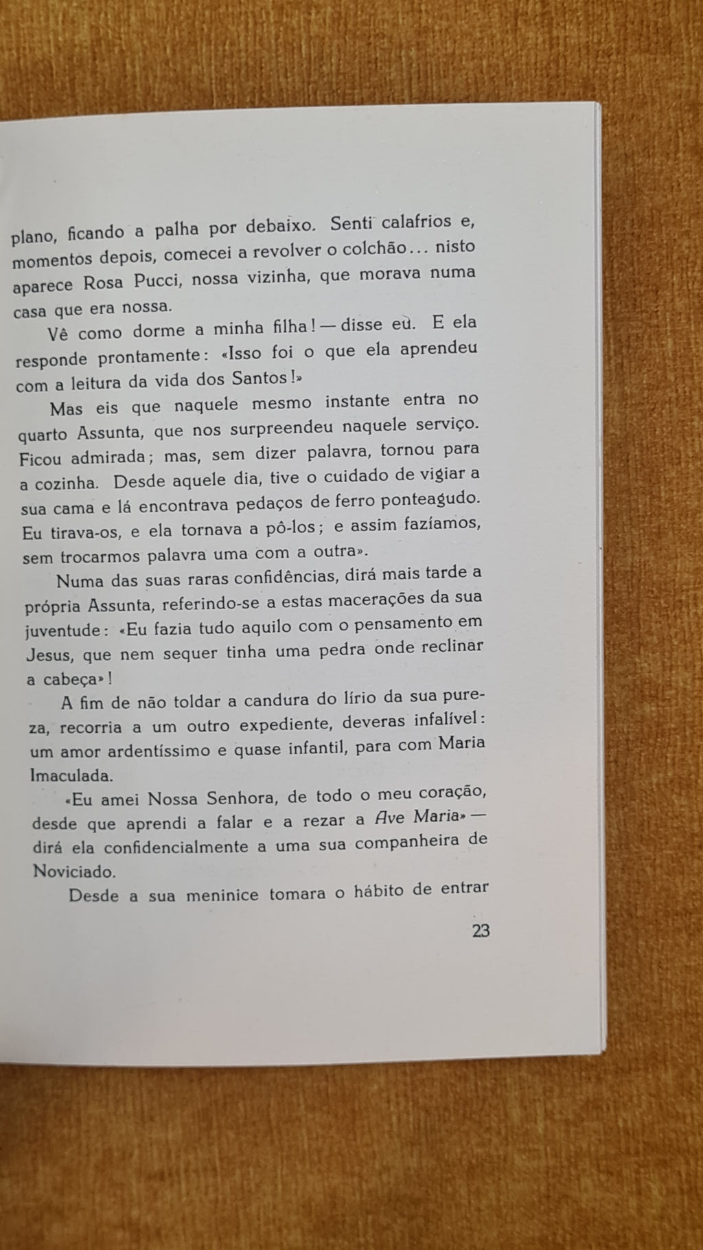 O caminho de Assunta