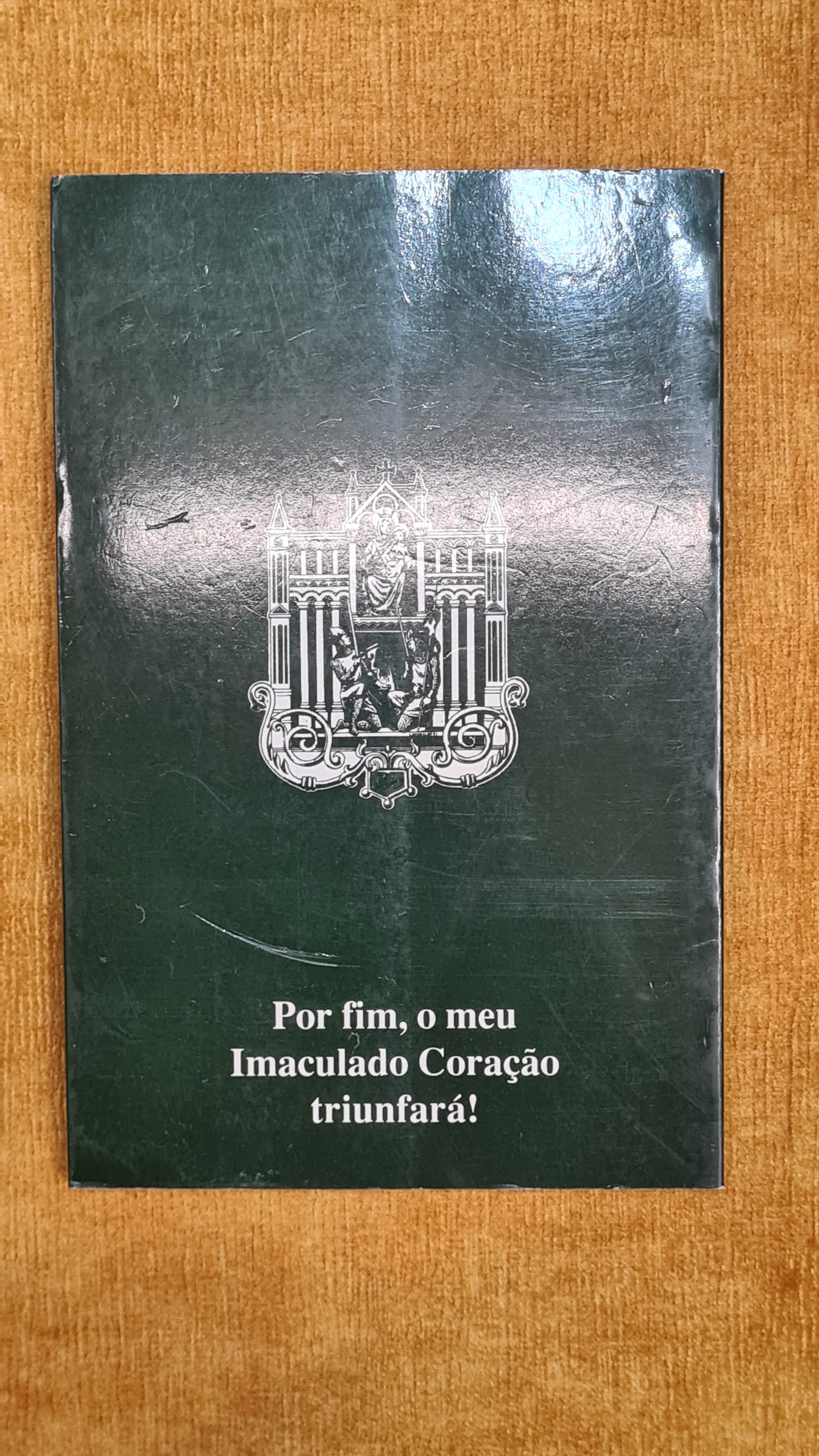 As aparições e a mensagem de Fátima nos manuscritos da Irmã Lúcia