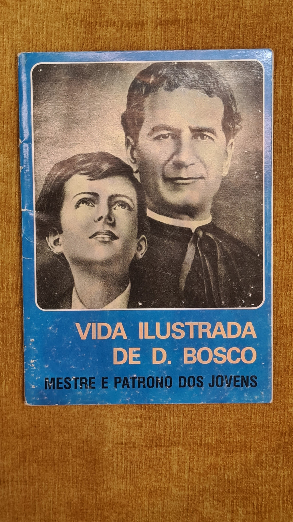 Illustrated Life of Don Bosco: Teacher and Patron of Youth
