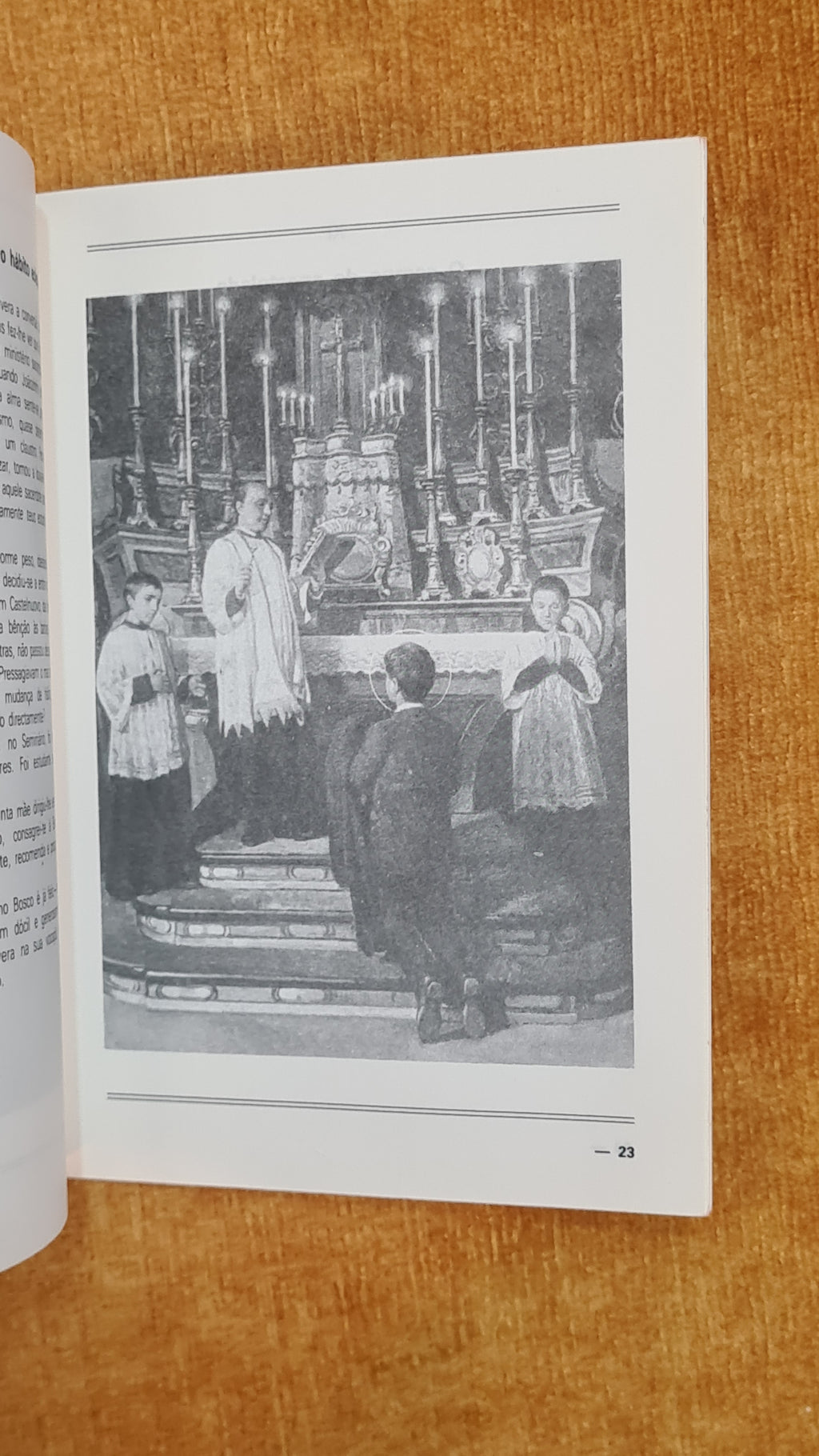 Illustrated Life of Don Bosco: Teacher and Patron of Youth