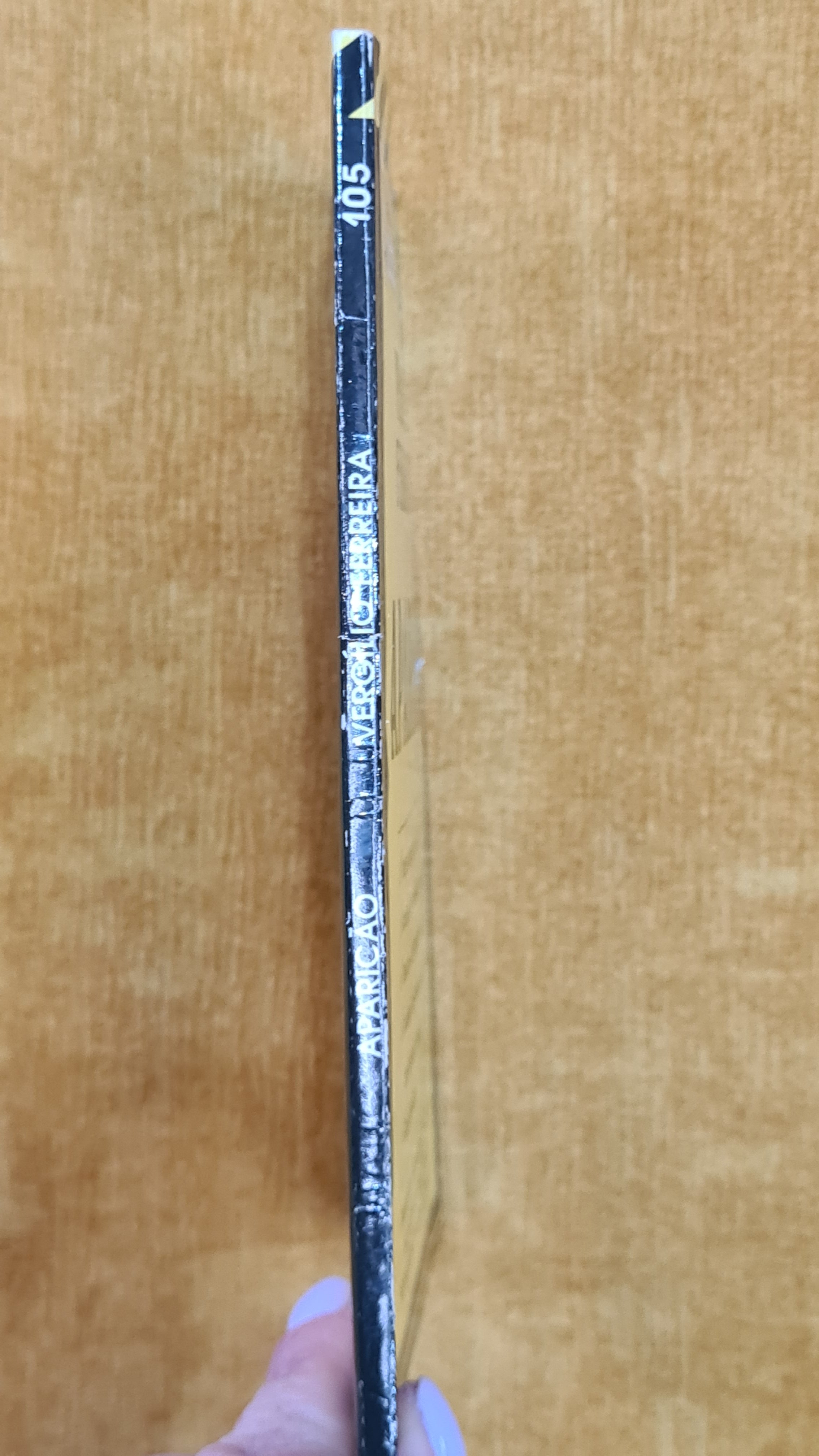 Explaining Appearance - Europe-America Notes Collection