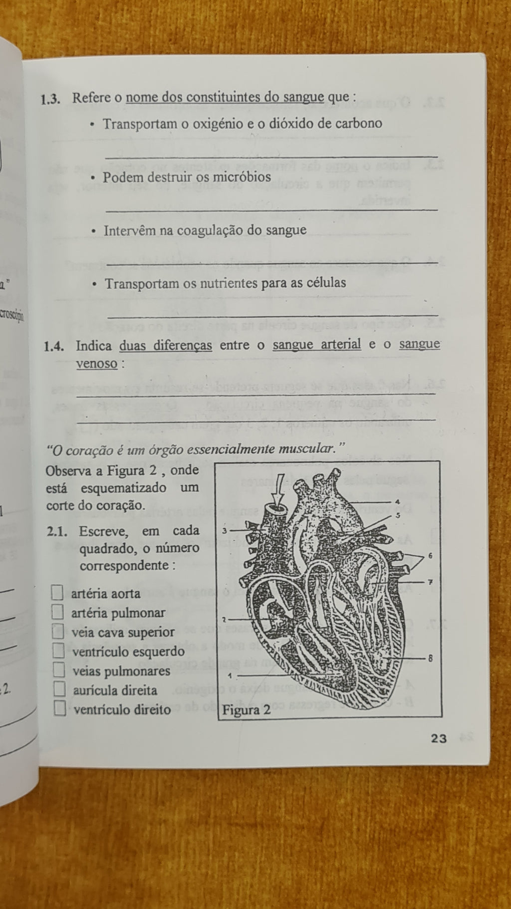 Global Tests with Solutions - Natural Sciences 6