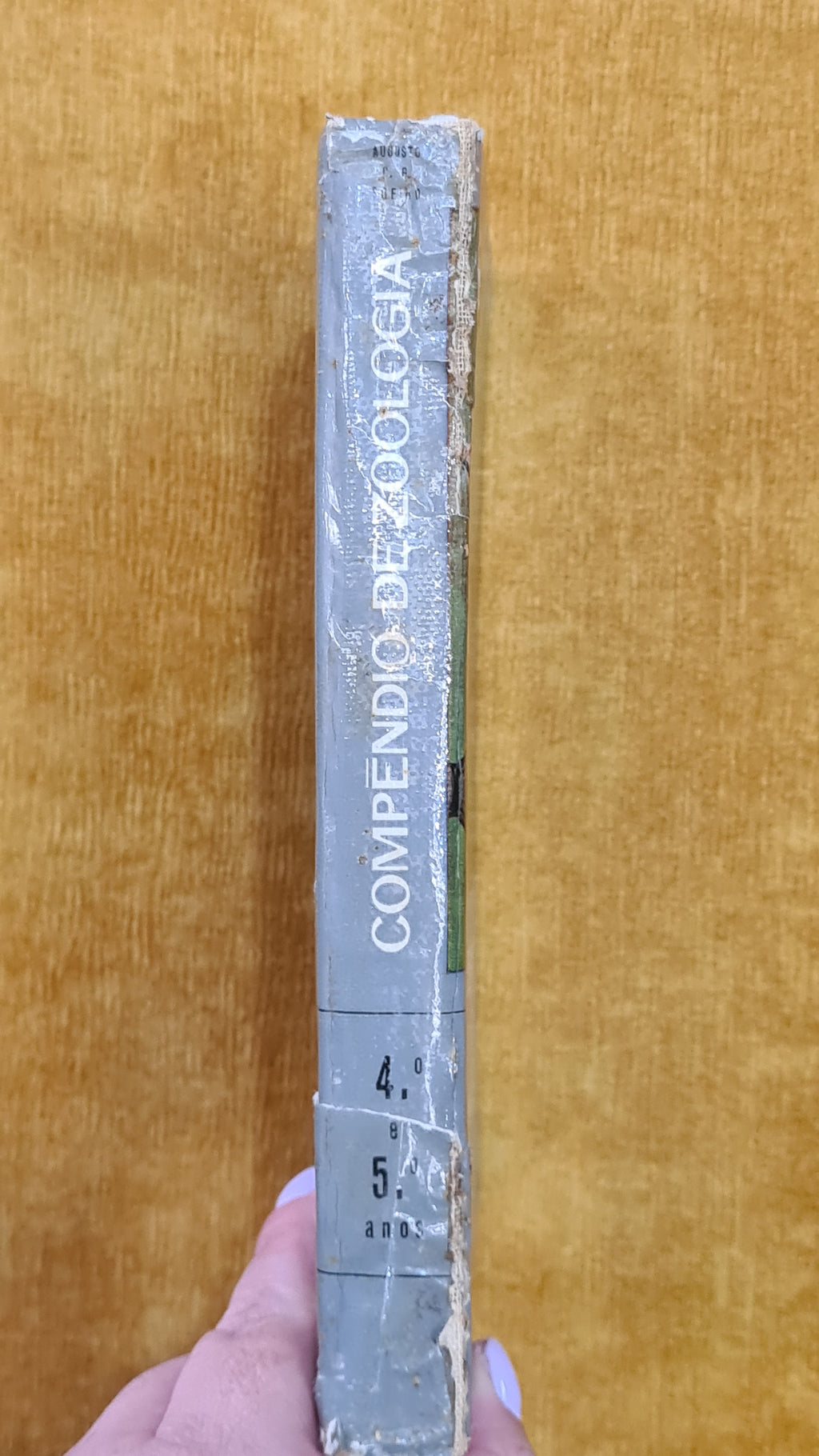 Compêndio de Zoologia 4-5º ano