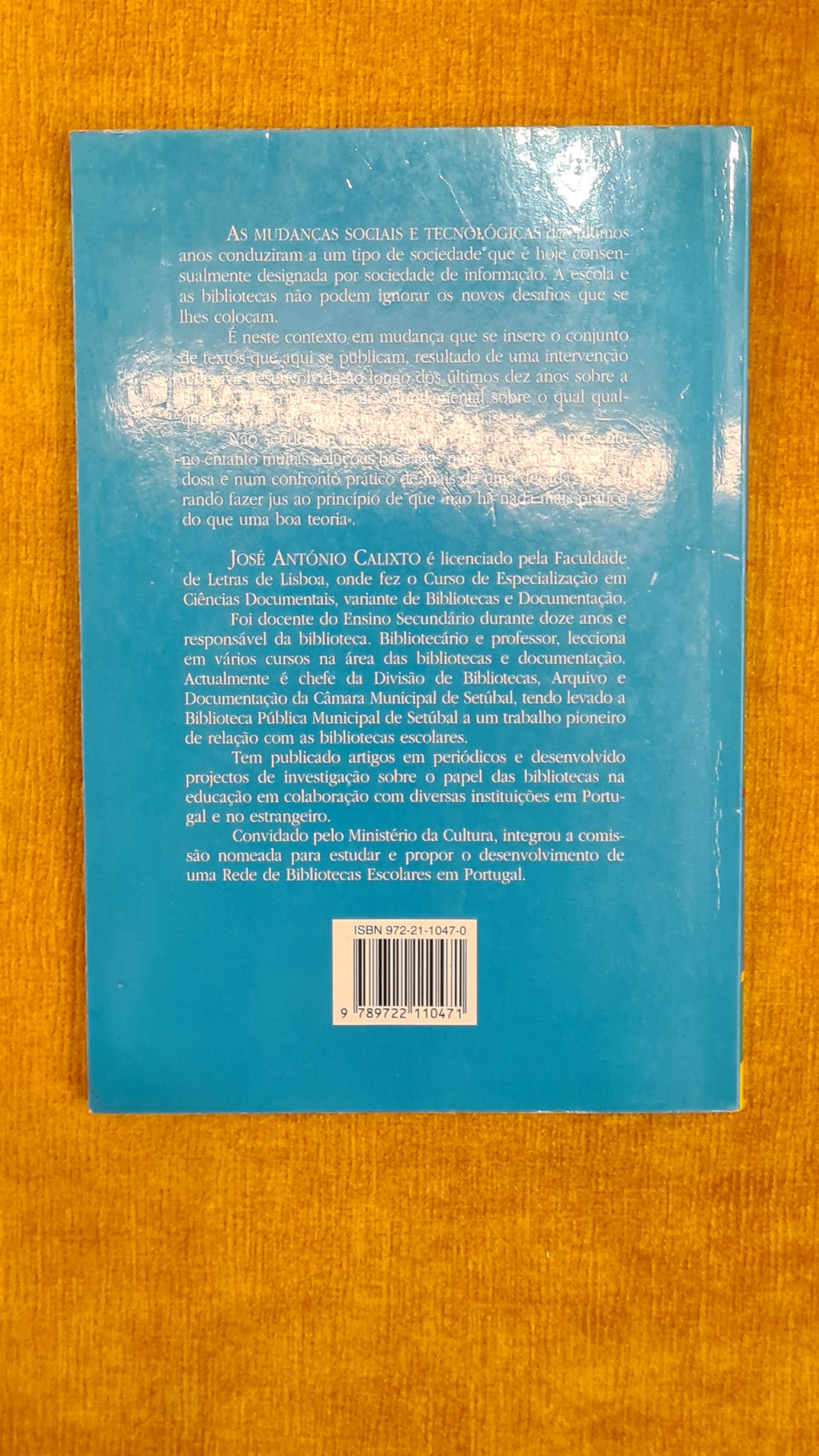 The school library and the information society