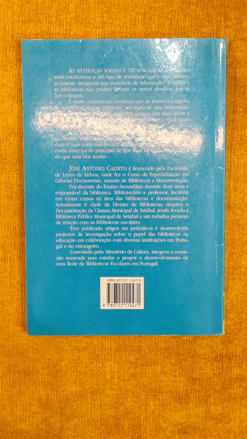 The school library and the information society