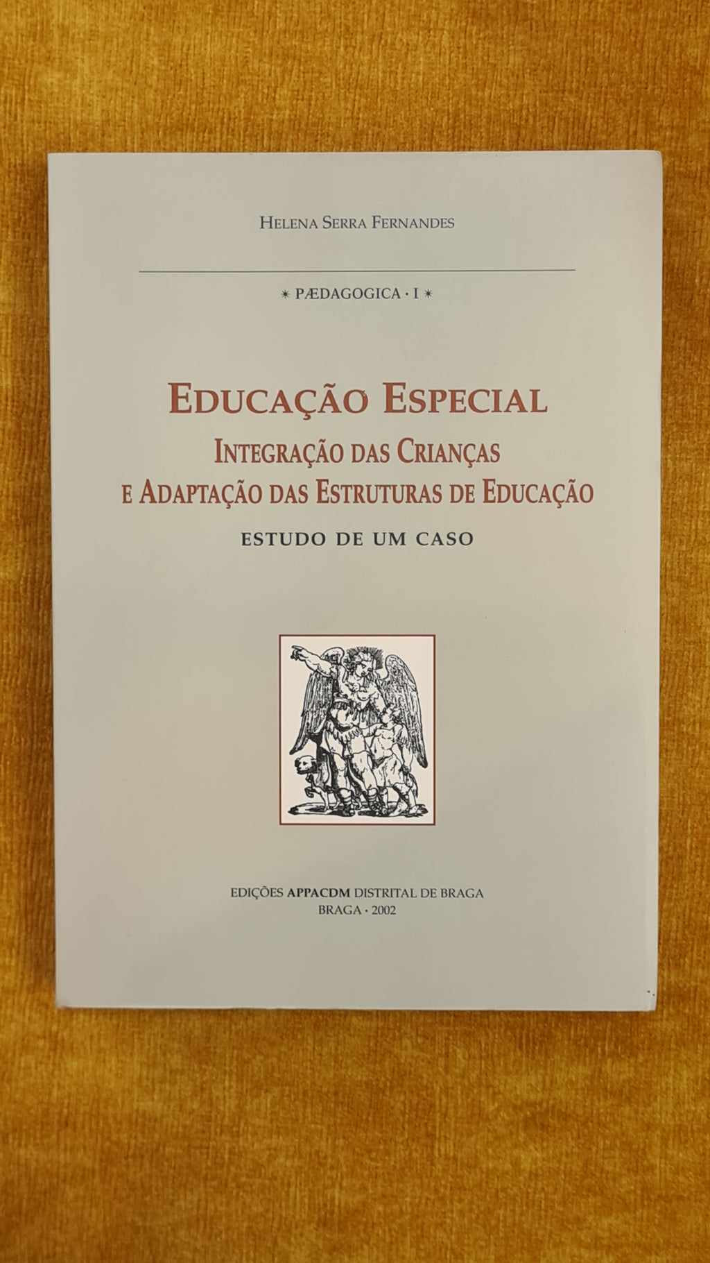 Special Education - Inclusion of children and adaptation of education structures