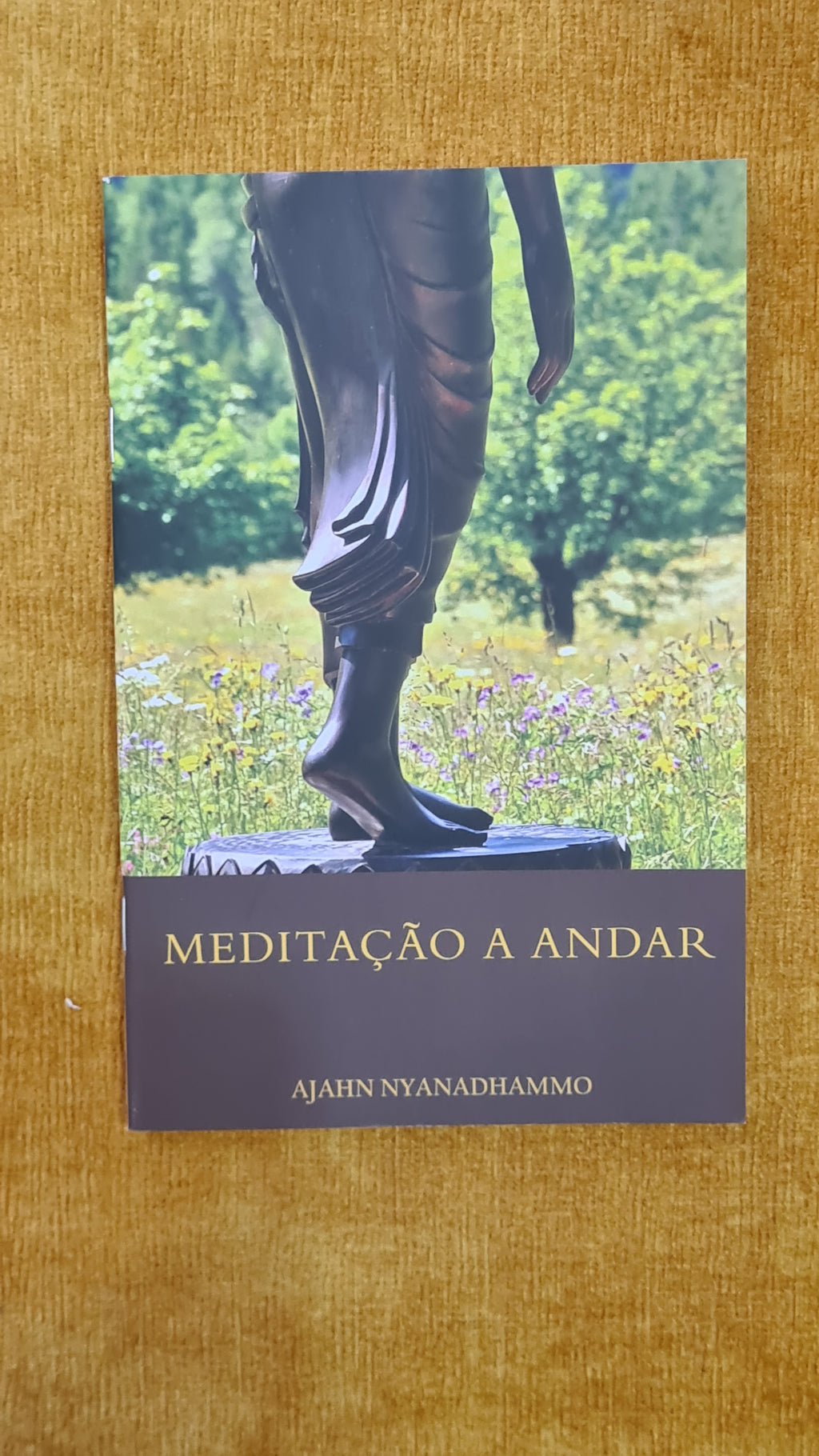 Walking meditation