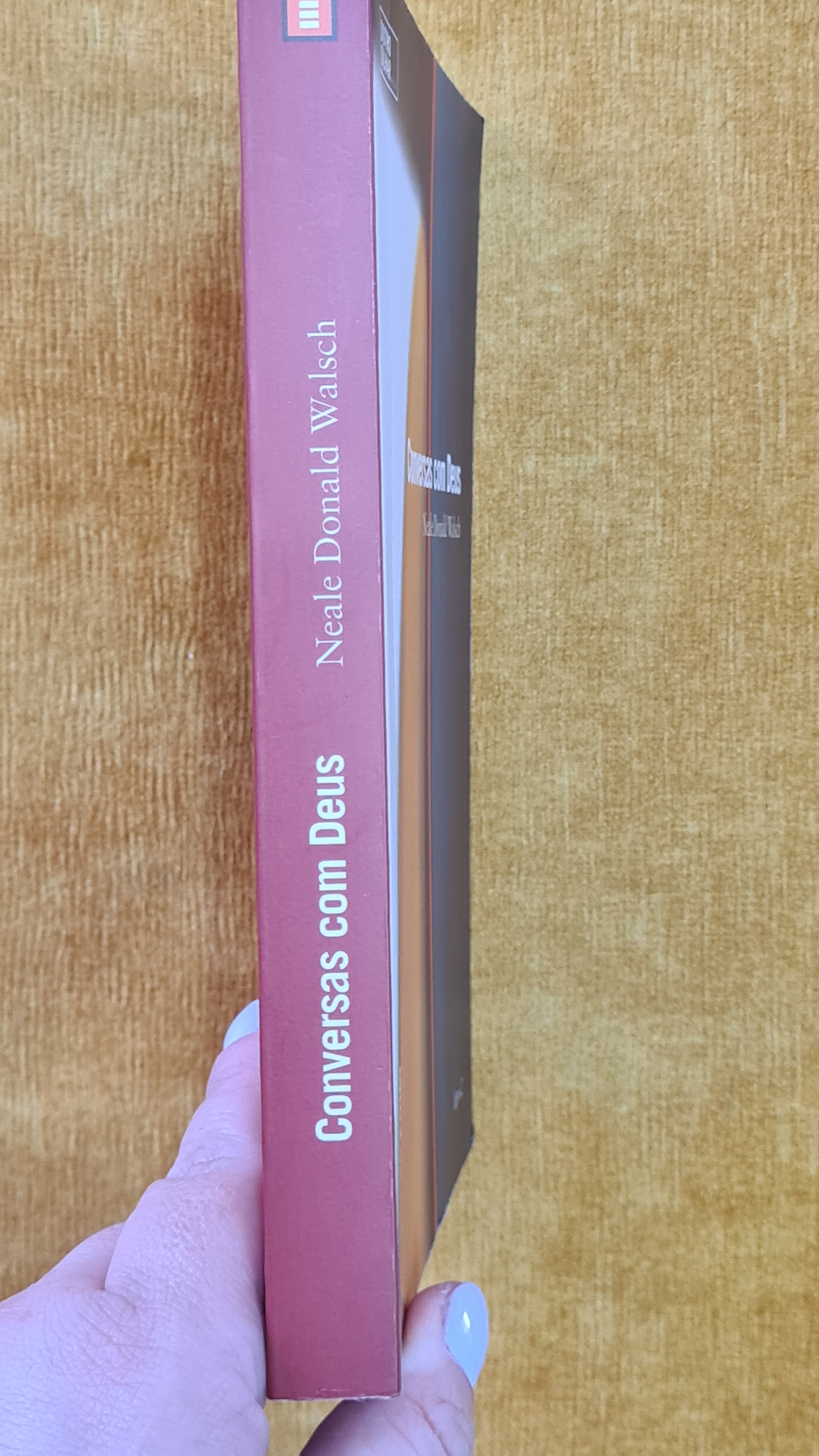 Conversas com Deus - Livro 2