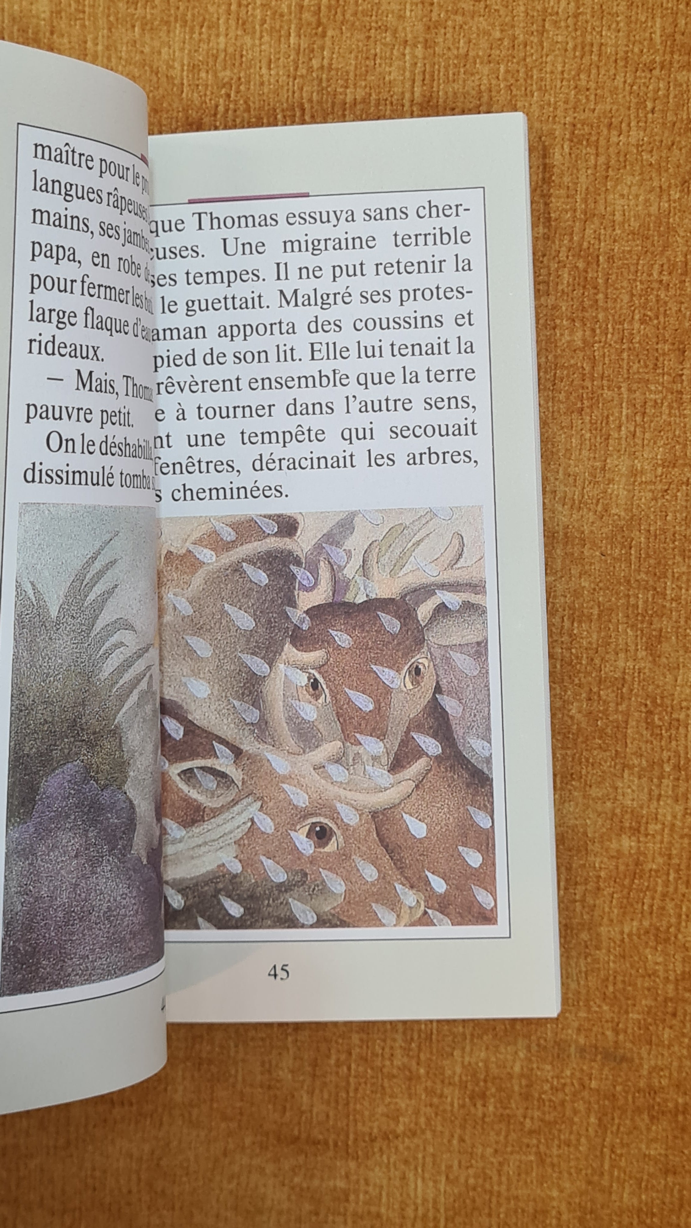 Thomas and the Infinite