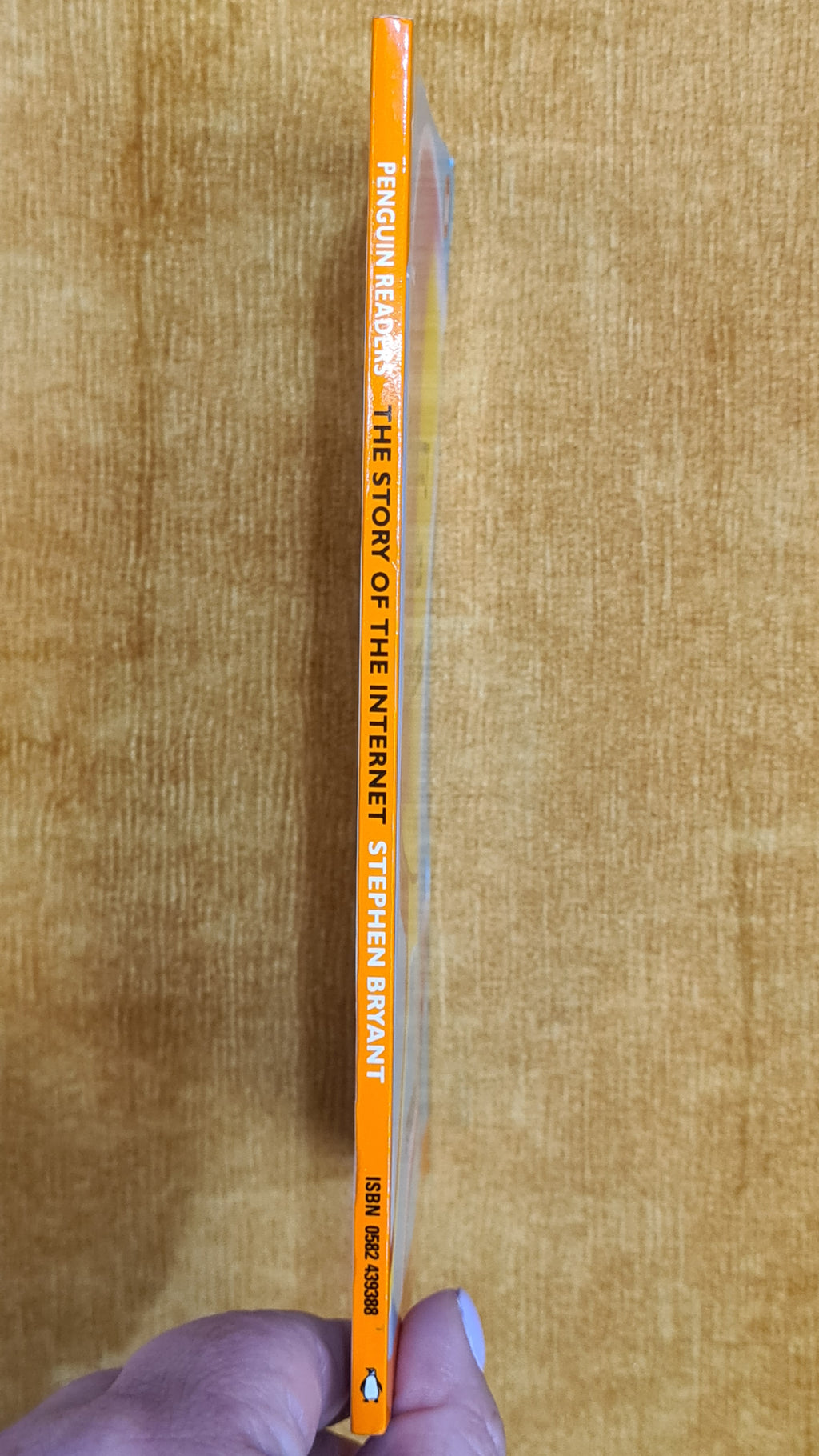 A história da internet