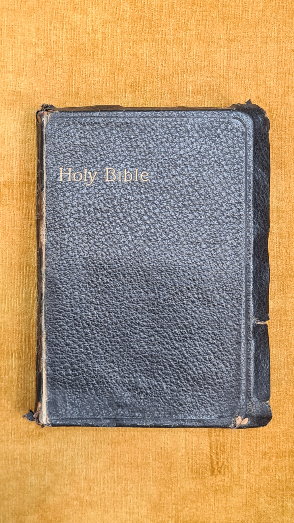 Holy Bible