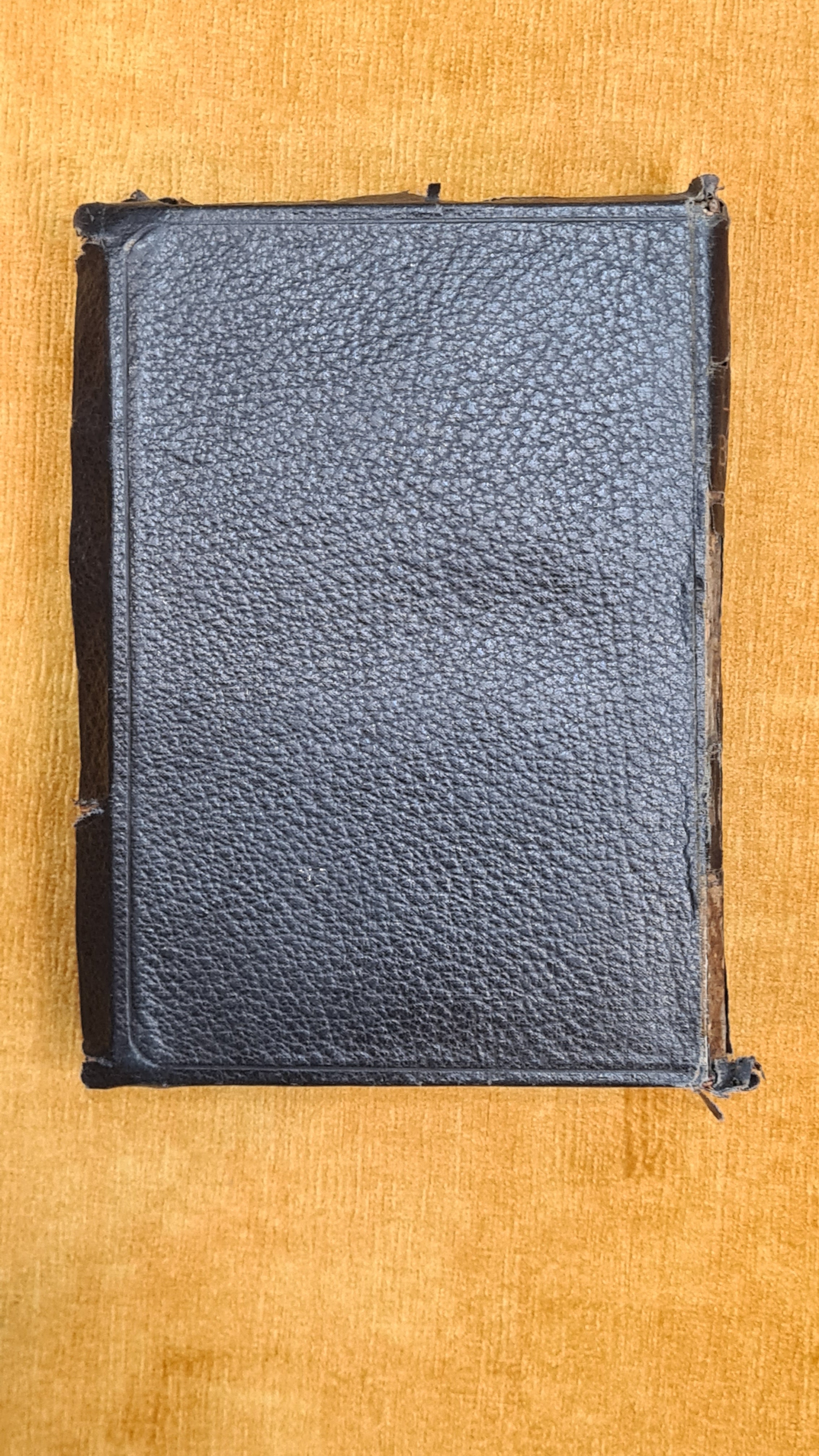 Holy Bible