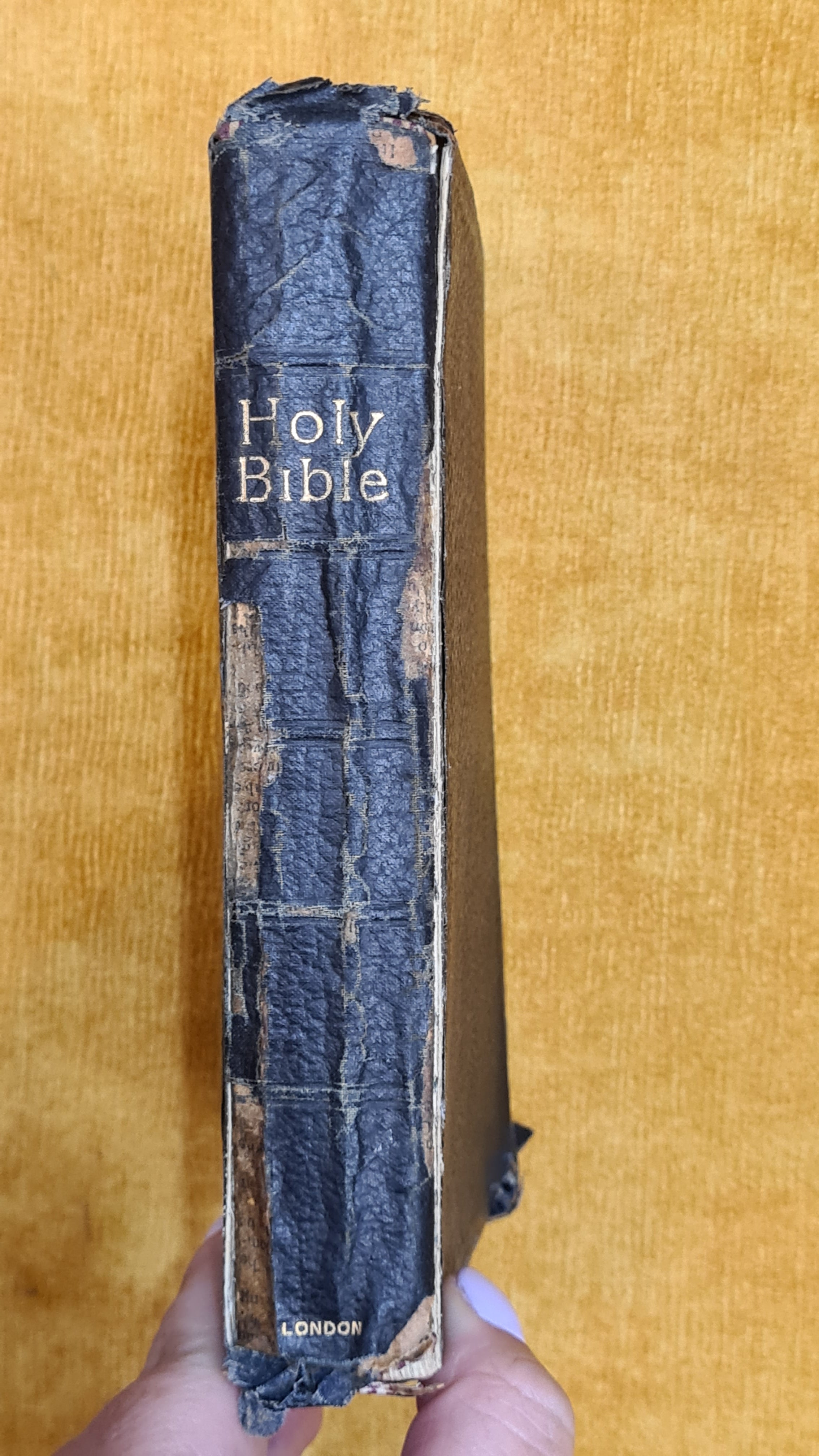 Holy Bible
