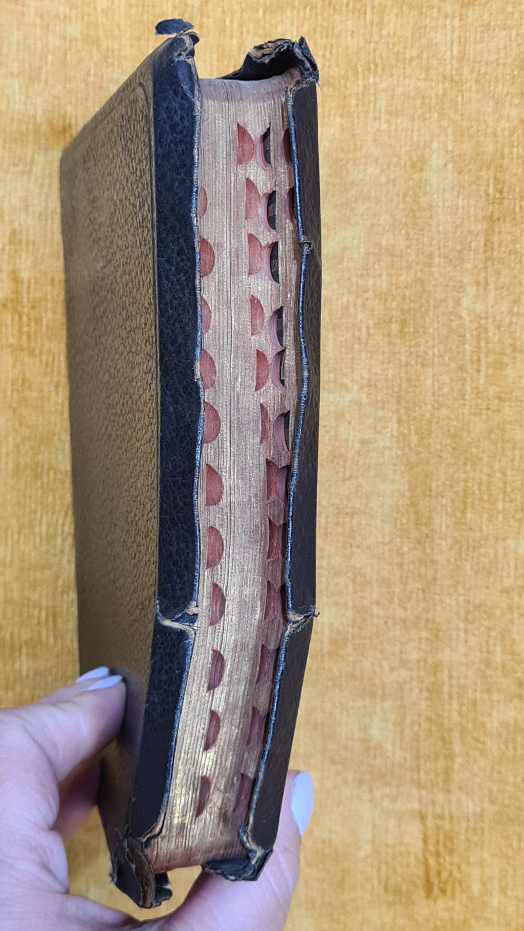 Holy Bible