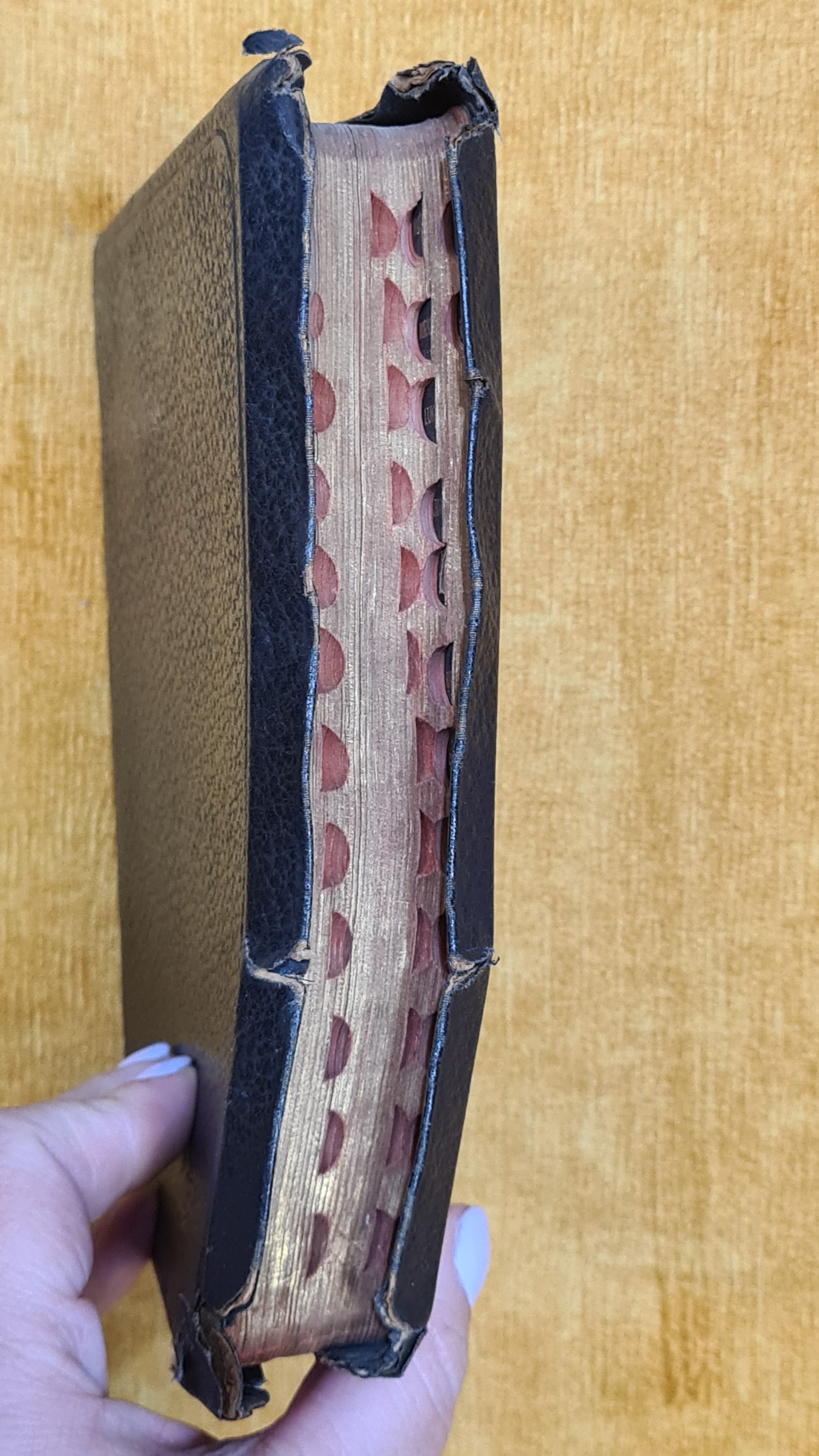 Holy Bible