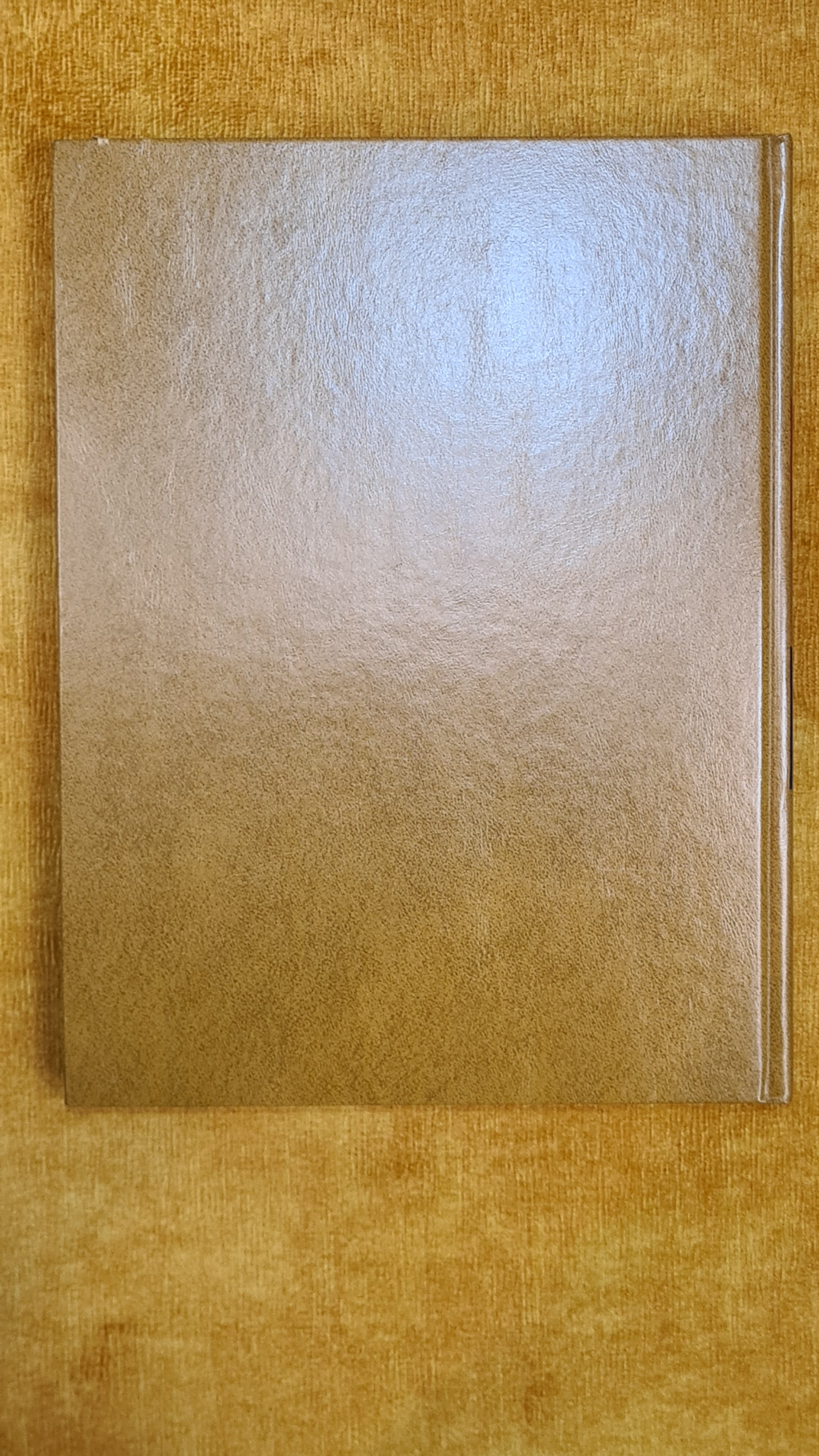 The New Caxton Encyclopedia, Vol. 11