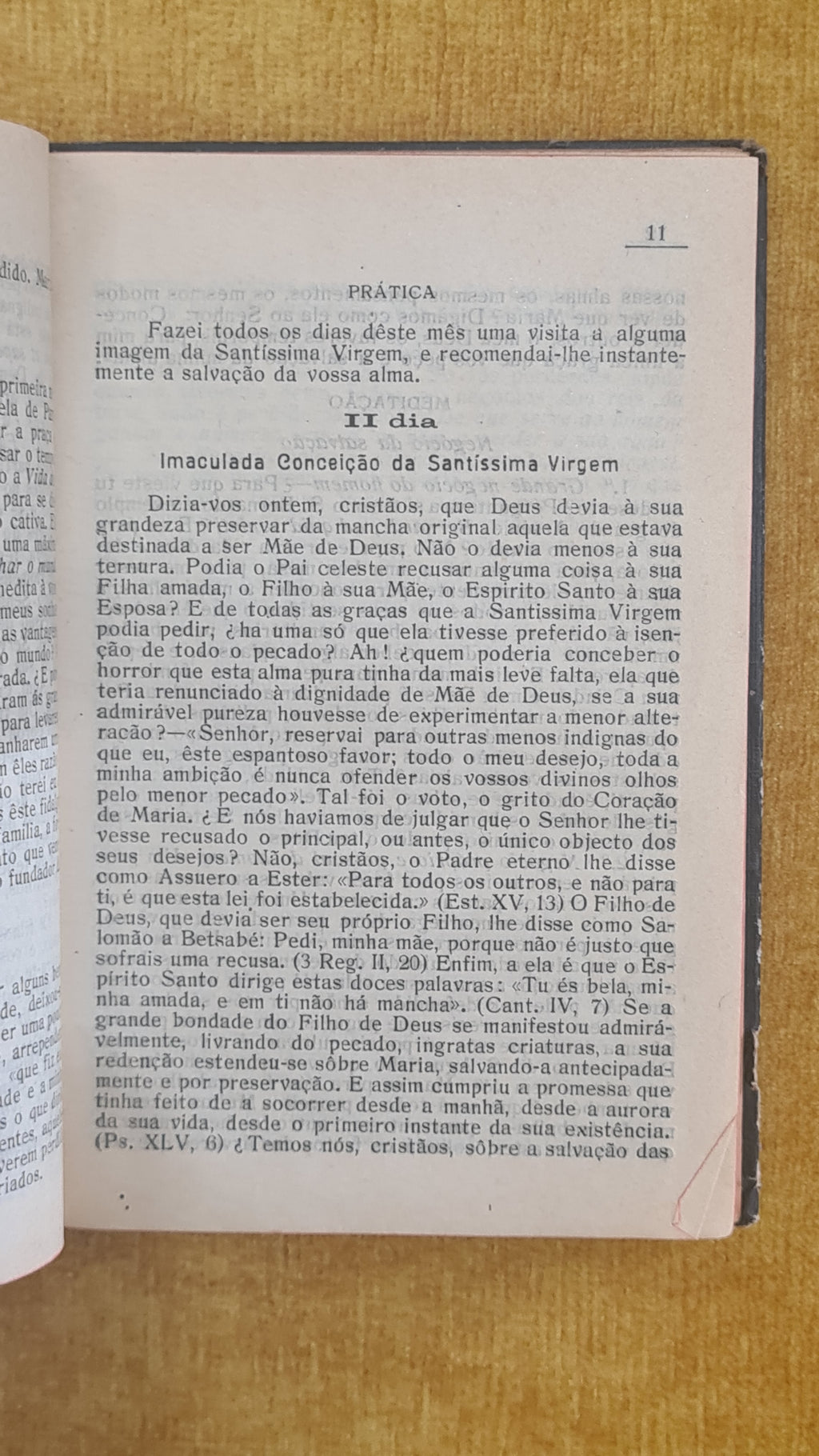 Mês de Maria