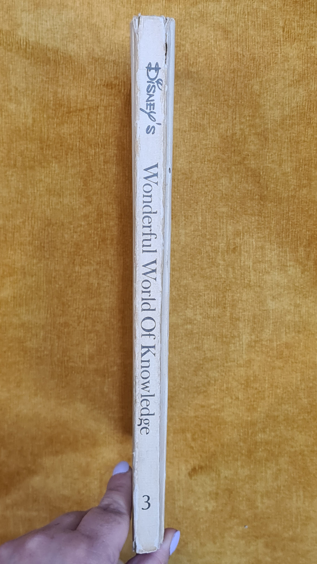 Disney's Wonderful World of Knowledge 3