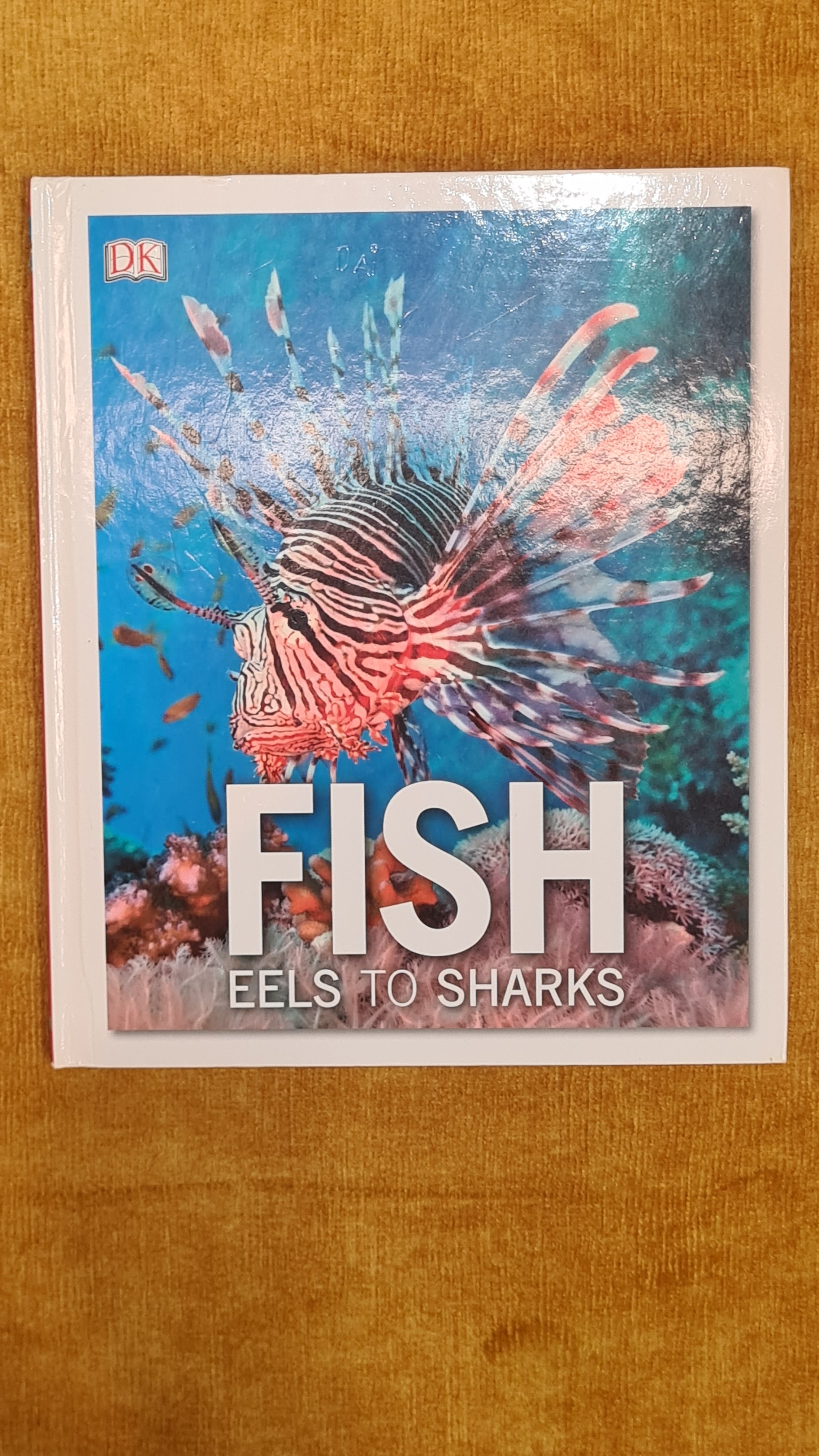 Fish: Eels to Sharks