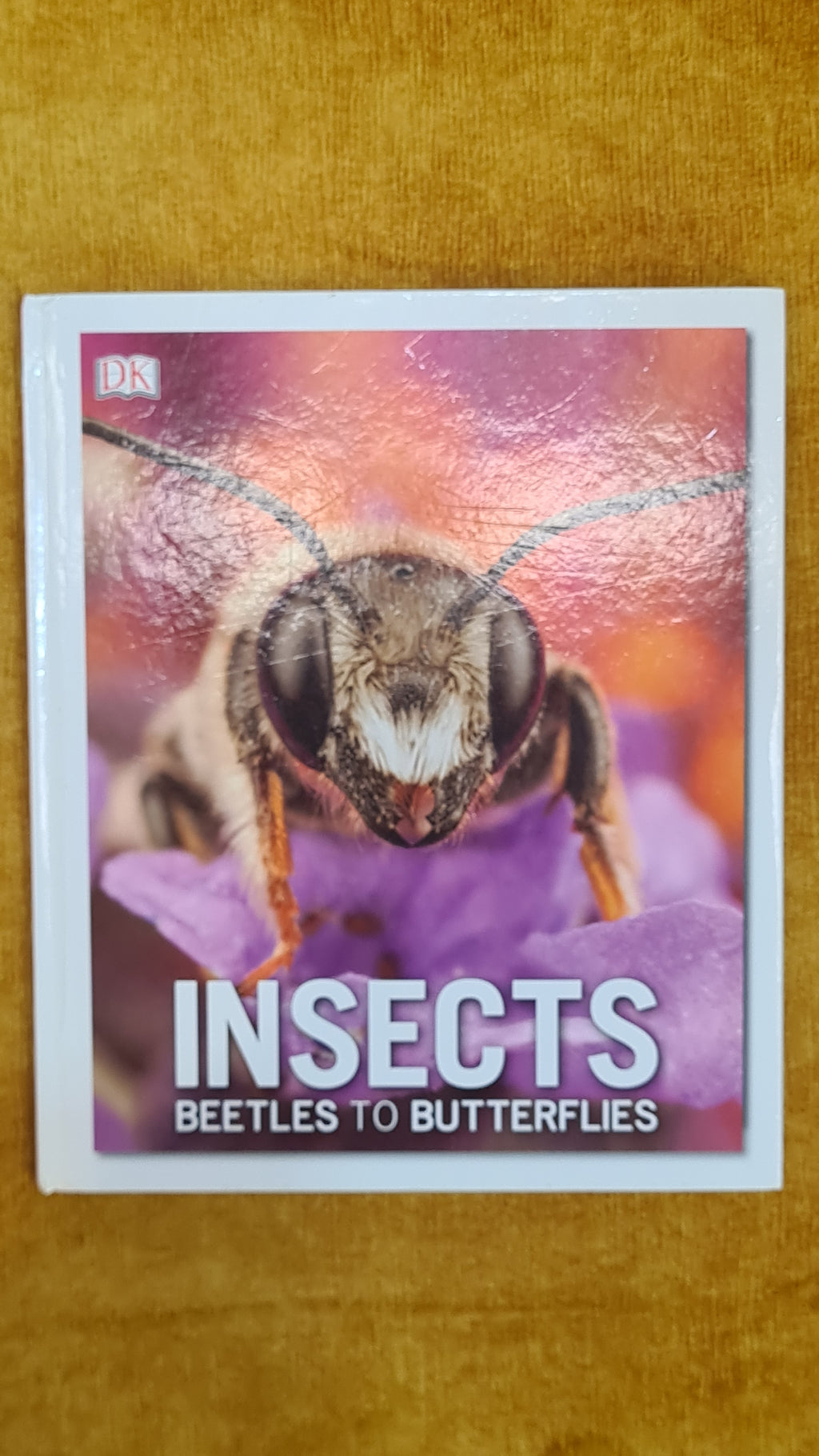 Insects: Beetles to Butterflies