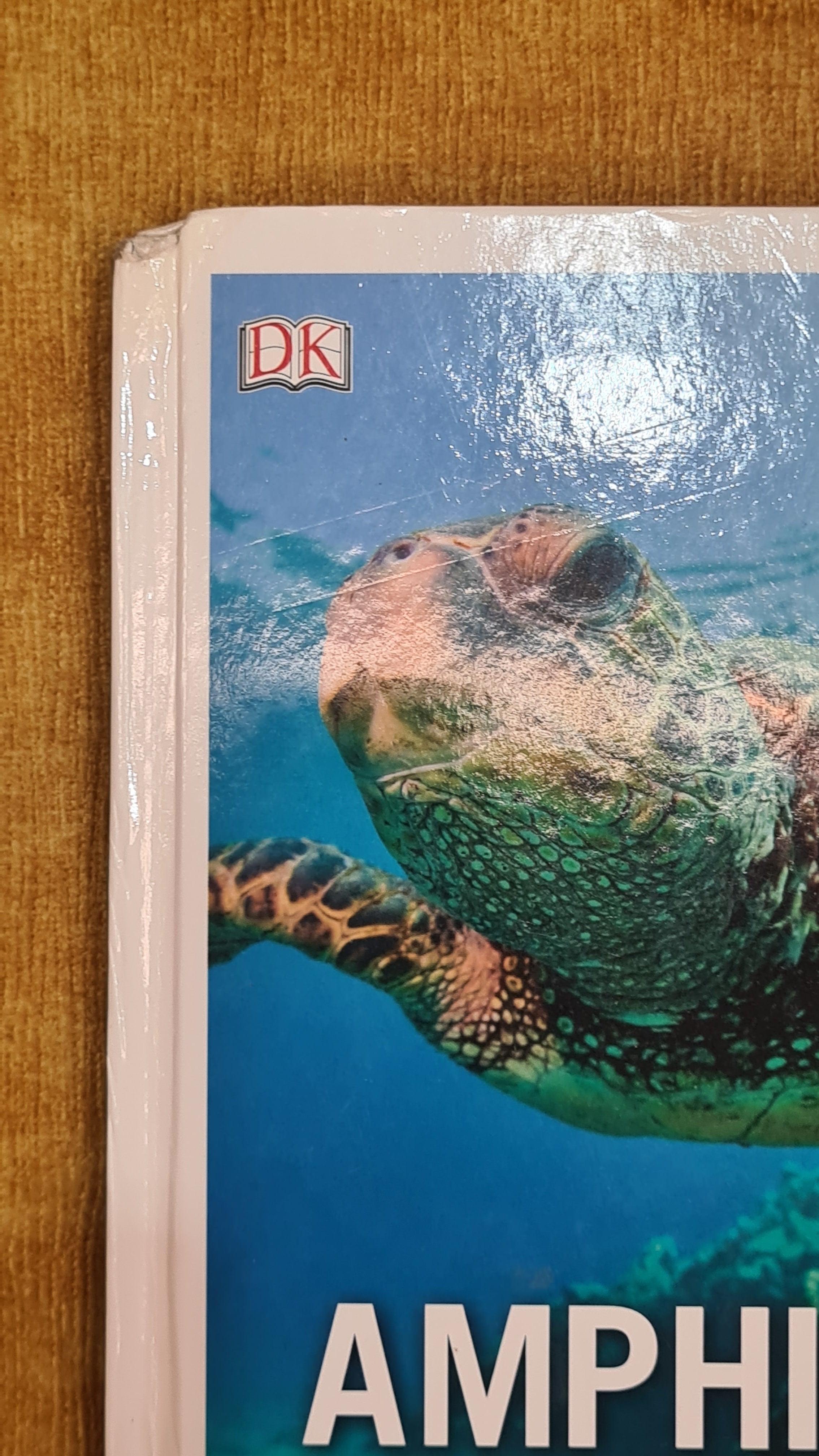 Amphibians and reptiles: frogs to snakes