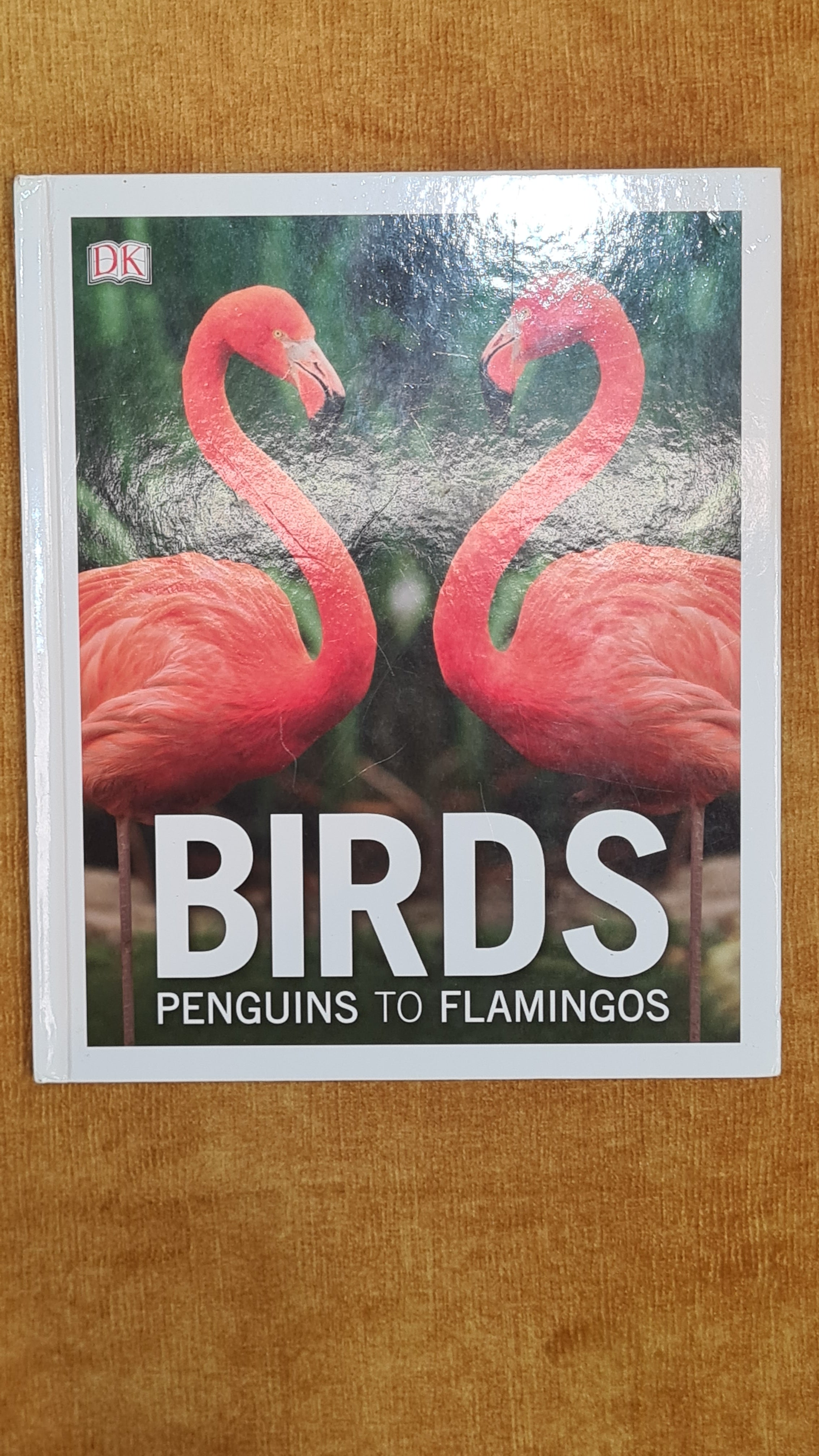 Birds: Penguins to Flamingos
