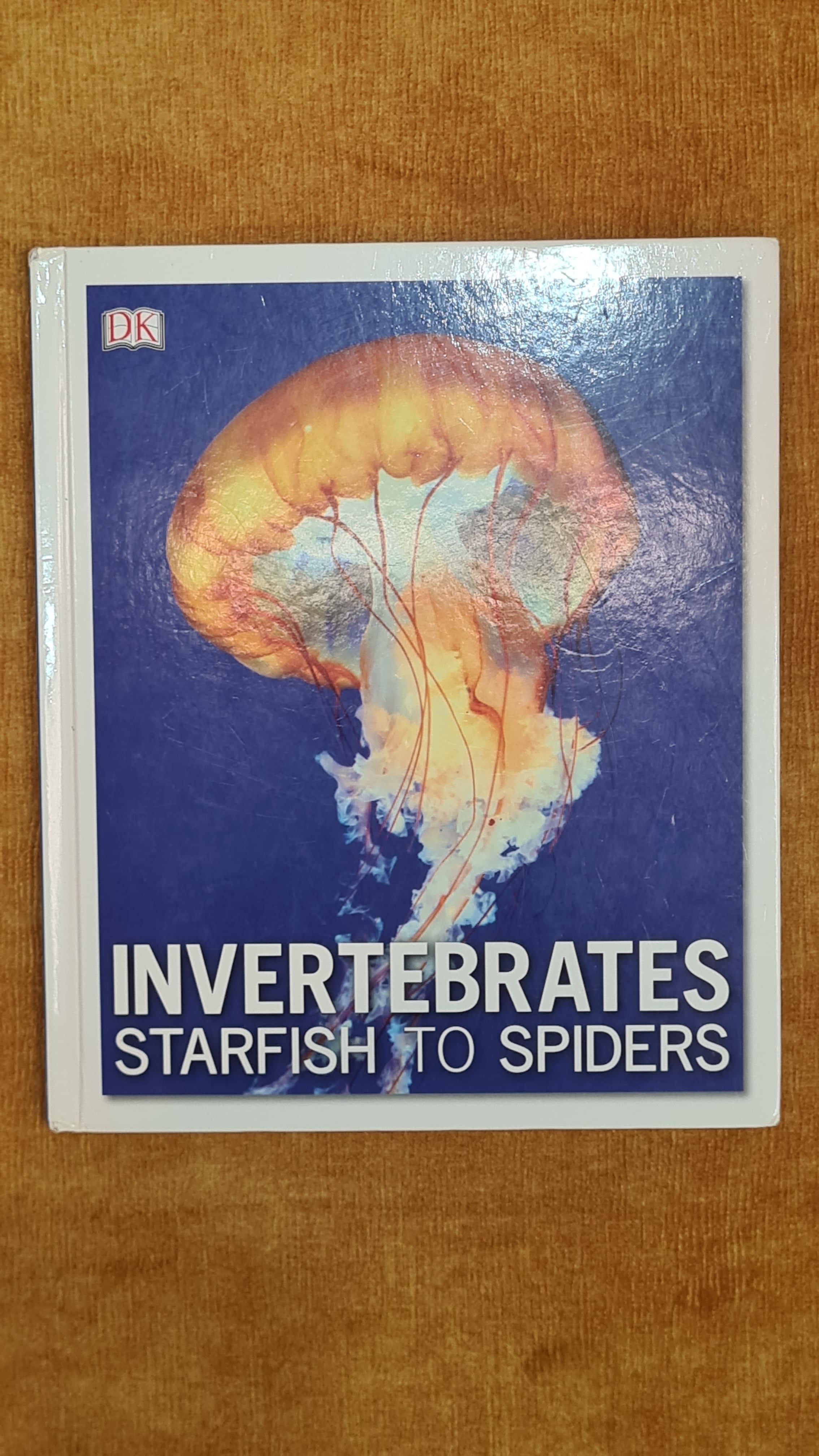 Invertebrates: Starfish to Spiders